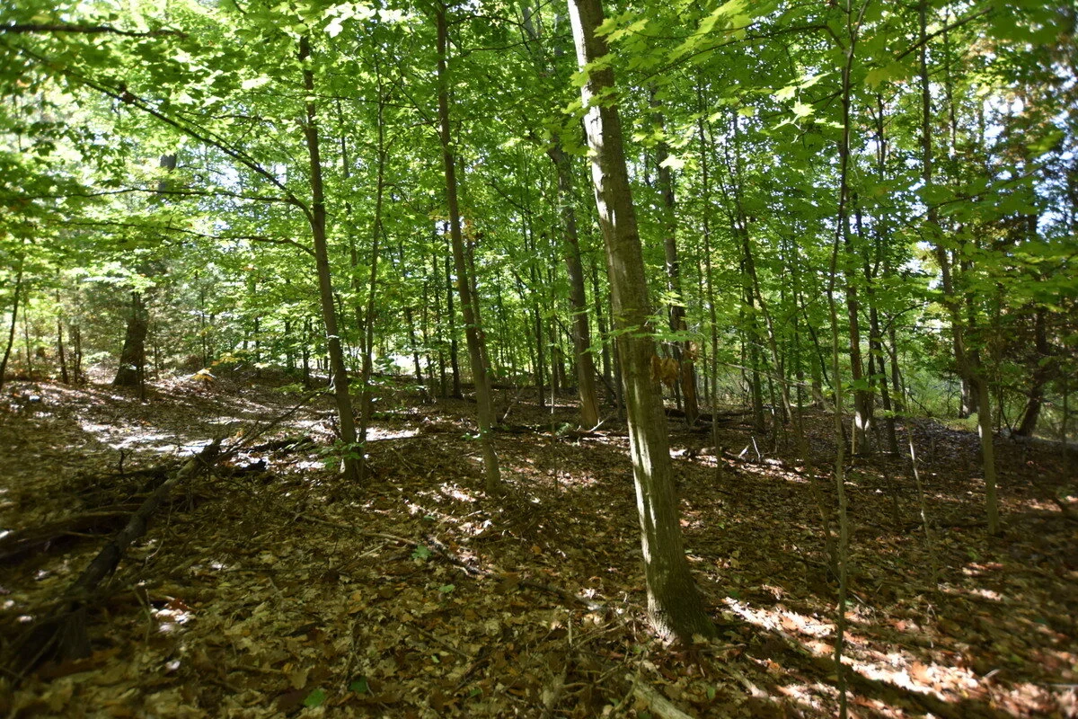 S Lakeview Road waterfront vacant lot on South Lake Leelanau - For Sale by Oltersdorf Realty, Vicky and Jonathan Oltersdorf (27).JPG