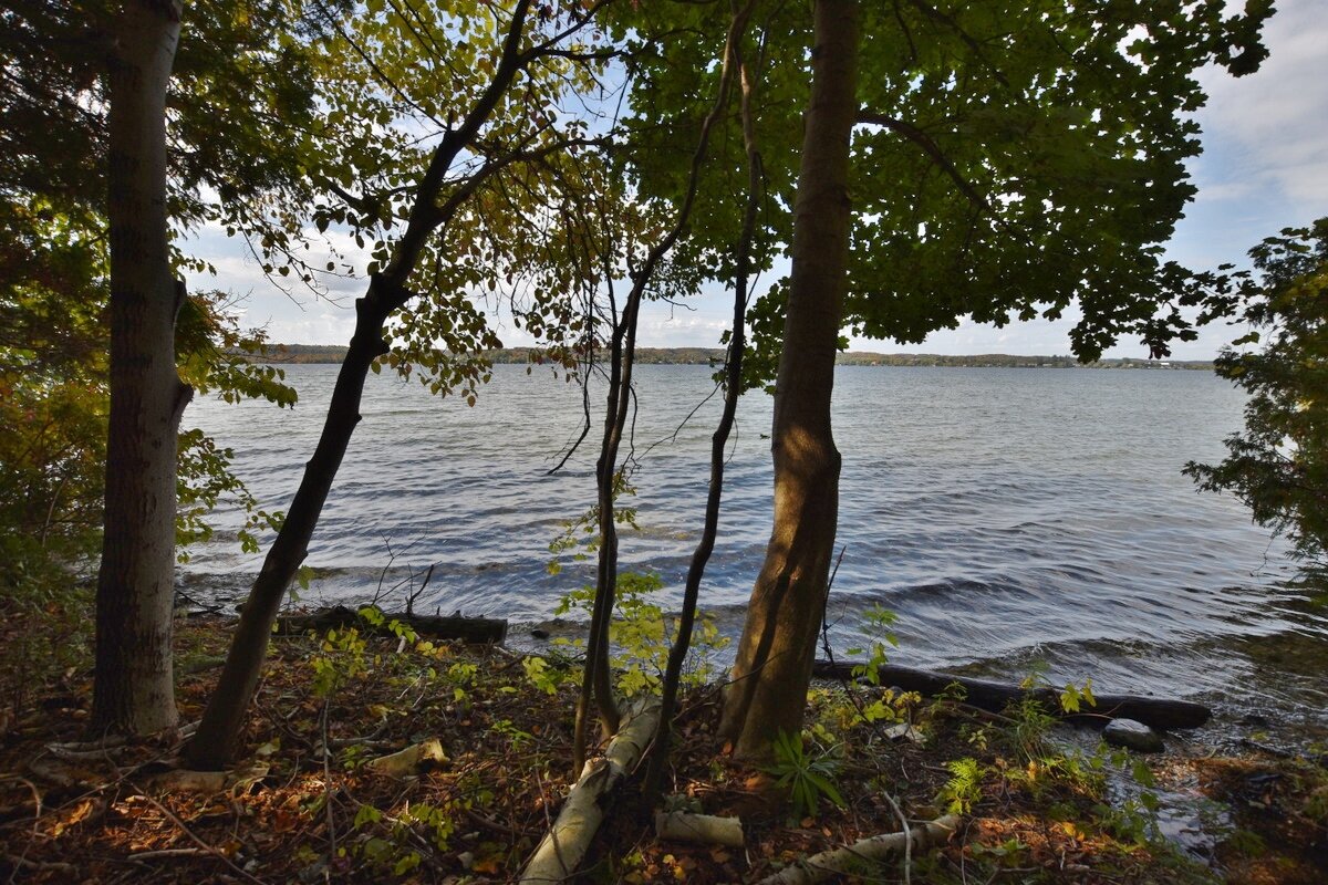 S Lakeview Road waterfront vacant lot on South Lake Leelanau - For Sale by Oltersdorf Realty, Vicky and Jonathan Oltersdorf (39).JPG