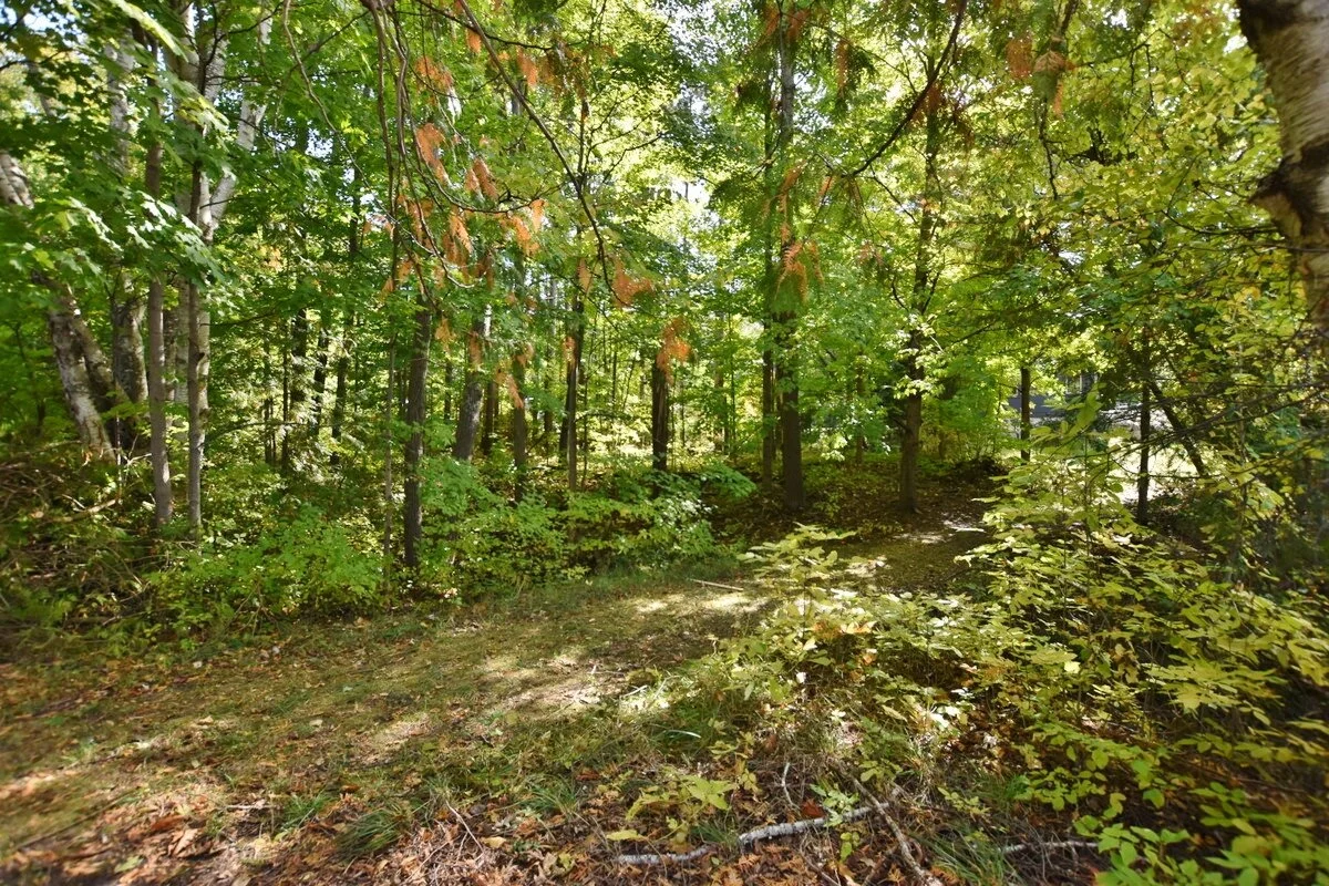 S Lakeview Road waterfront vacant lot on South Lake Leelanau - For Sale by Oltersdorf Realty, Vicky and Jonathan Oltersdorf (43).JPG