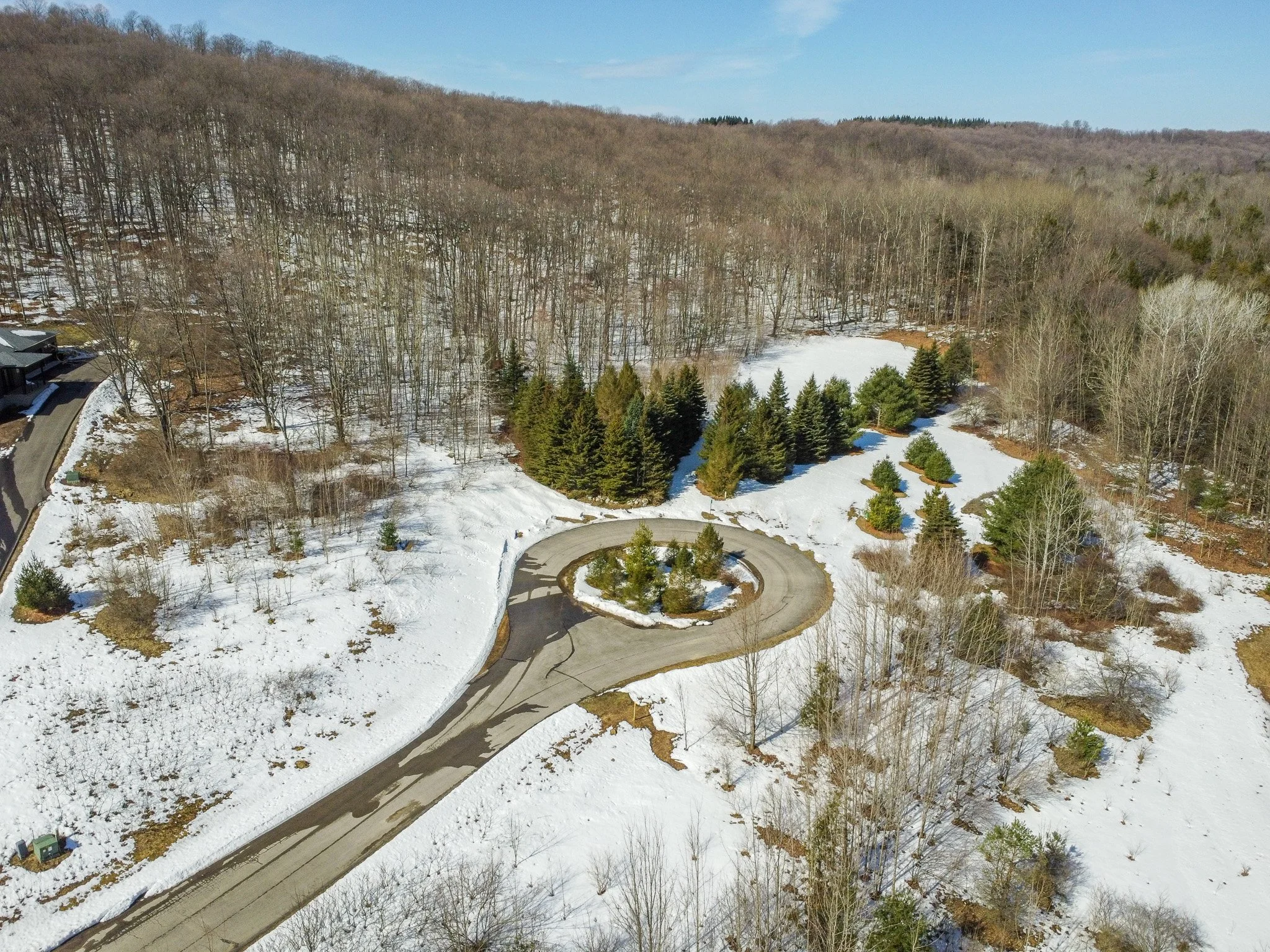 Lot 6 For Sale by Jonathan Oltersdorf, Oltersdorf Realty, Belanger Creek, Suttons Bay Vacant Land For Sale (19).jpg