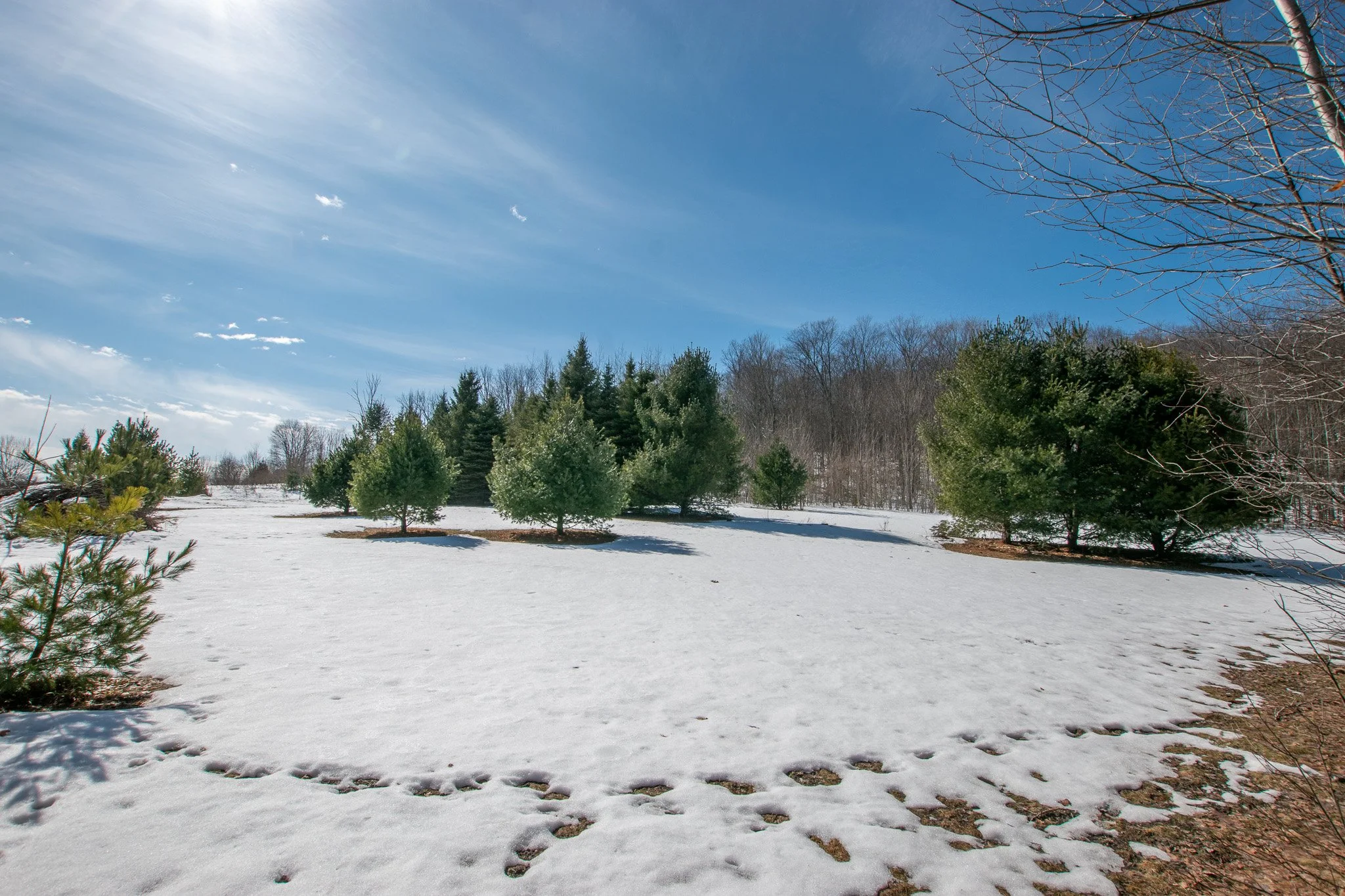 Lot 8 For Sale by Jonathan Oltersdorf, Oltersdorf Realty, Belanger Creek, Suttons Bay Vacant Land For Sale (19).jpg