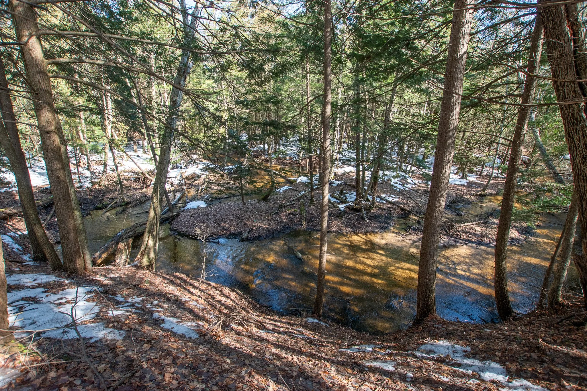 Lot 7 For Sale by Jonathan Oltersdorf, Oltersdorf Realty, Belanger Creek, Suttons Bay Vacant Land For Sale (6).jpg