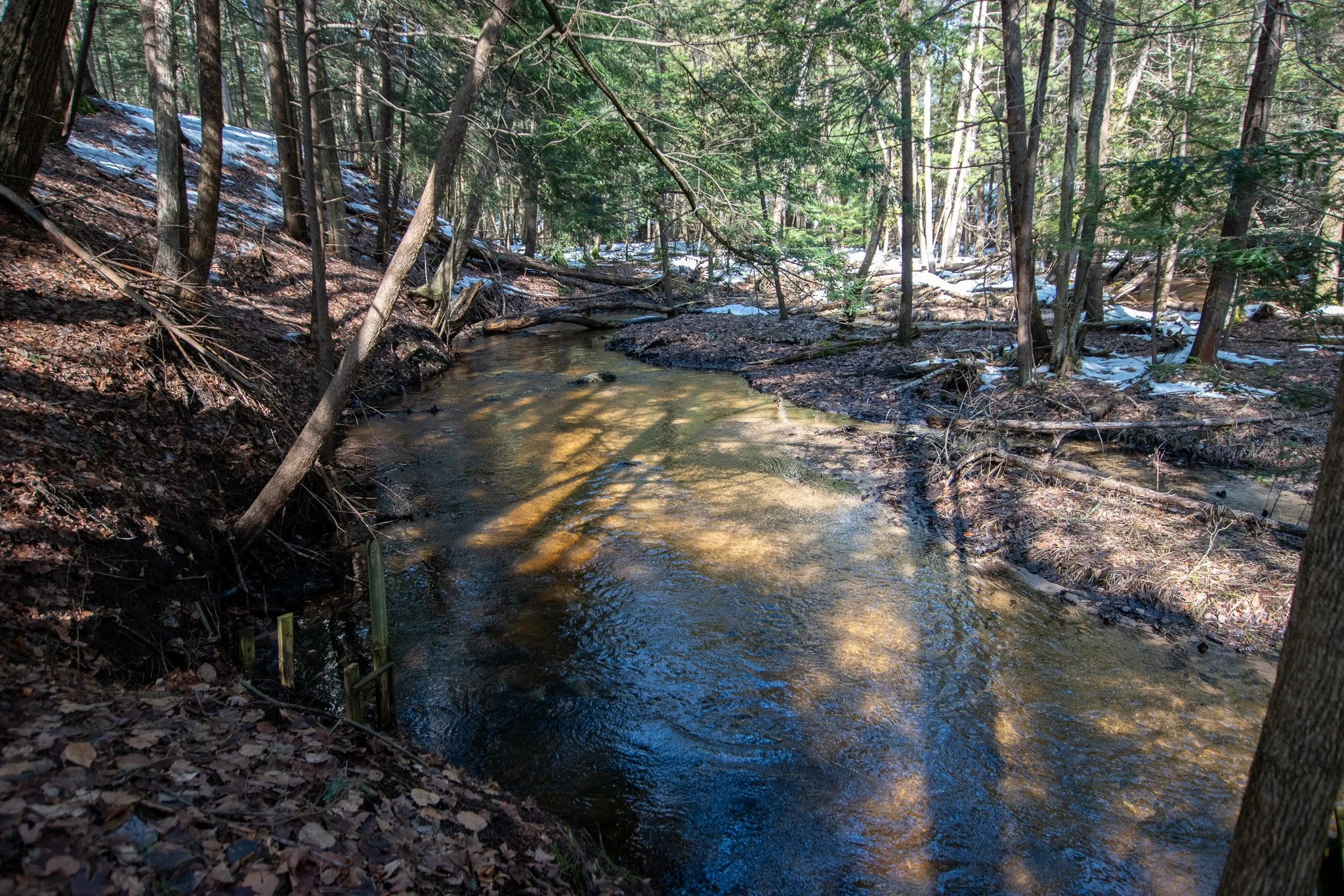 Lot 7 For Sale by Jonathan Oltersdorf, Oltersdorf Realty, Belanger Creek, Suttons Bay Vacant Land For Sale (8).jpg