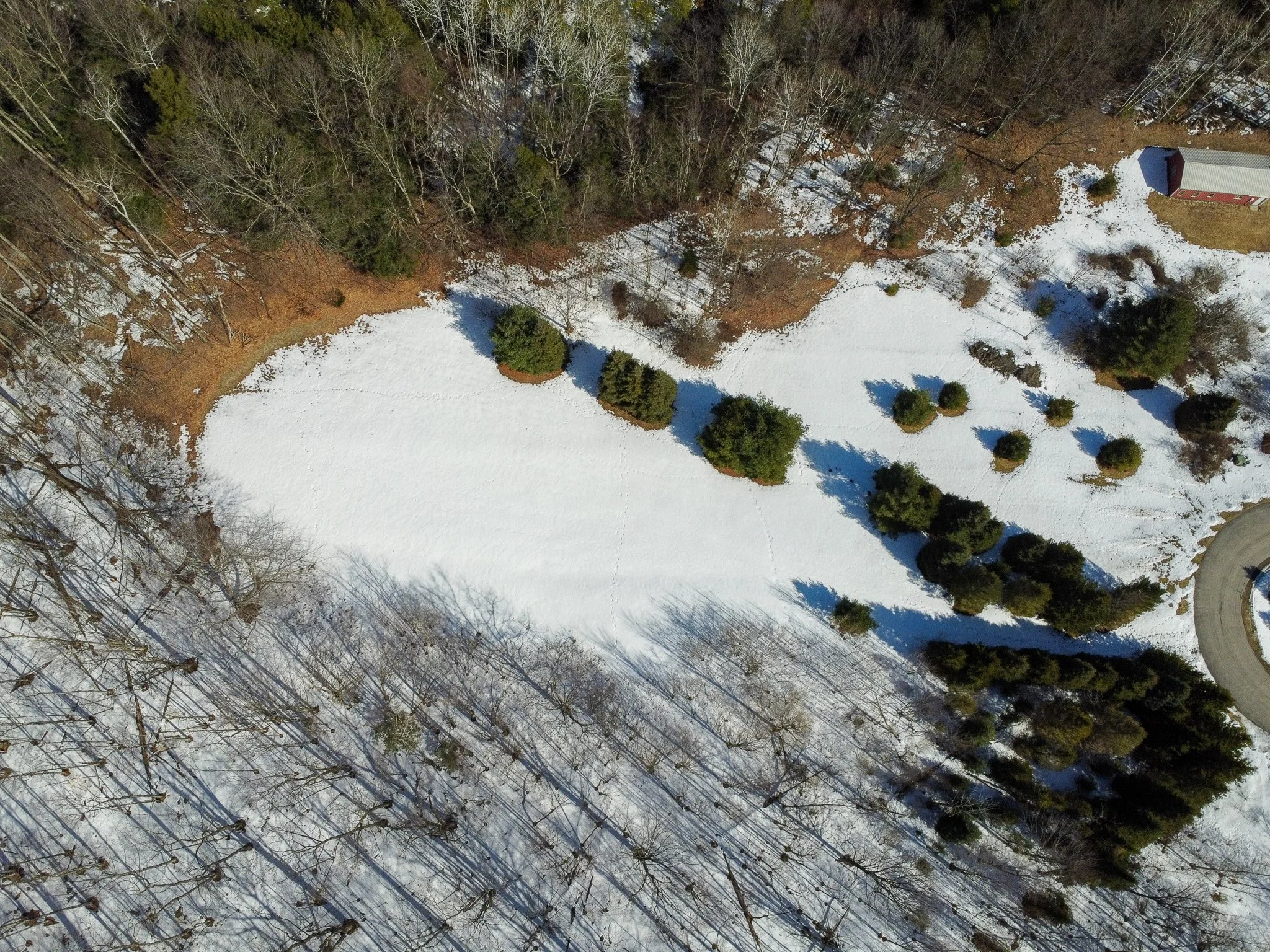 Lot 7 For Sale by Jonathan Oltersdorf, Oltersdorf Realty, Belanger Creek, Suttons Bay Vacant Land For Sale (10).jpg