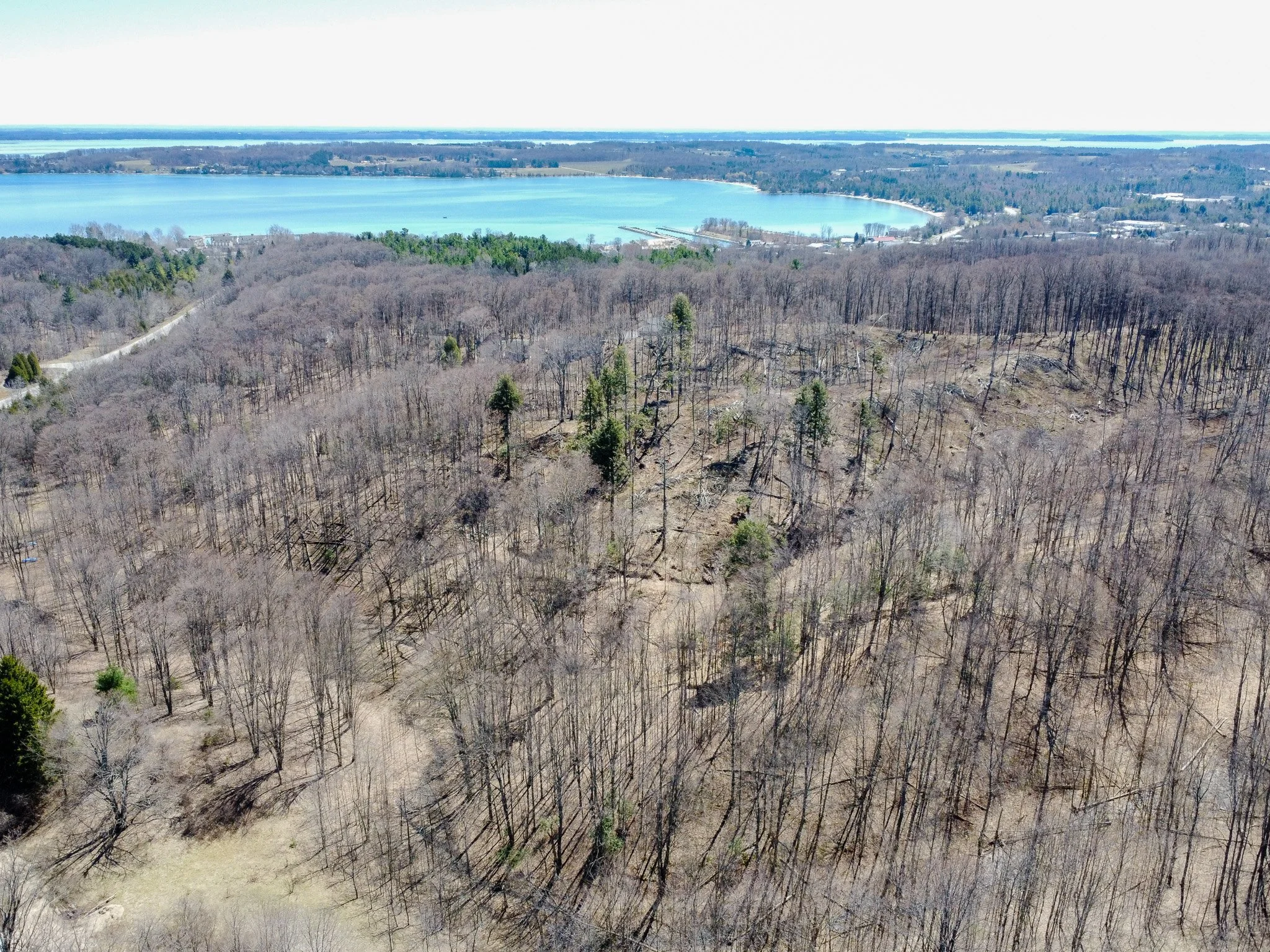 11.31 Acres – E Smiseth Road, Suttons Bay – FOR SALE by Jonathan Oltersdorf, Oltersdorf Realty (6).jpg