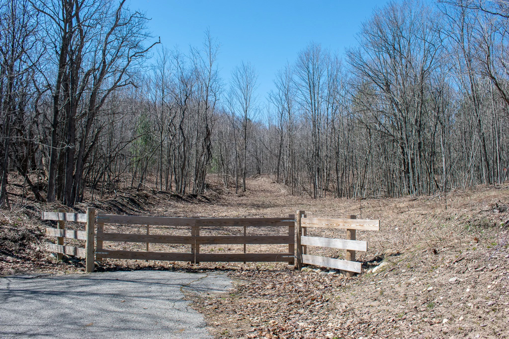 11.31 Acres – E Smiseth Road, Suttons Bay – FOR SALE by Jonathan Oltersdorf, Oltersdorf Realty (10).jpg