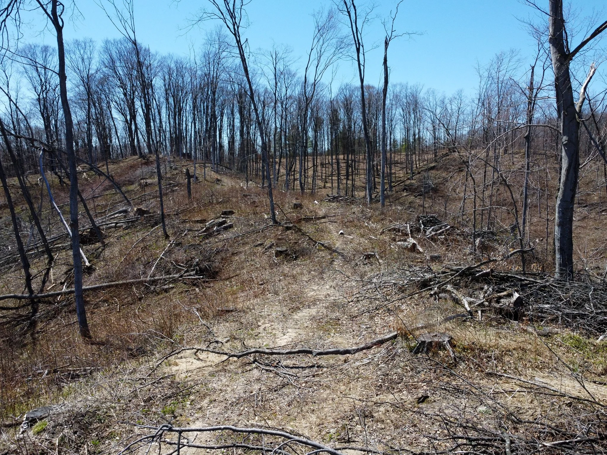 11.31 Acres – E Smiseth Road, Suttons Bay – FOR SALE by Jonathan Oltersdorf, Oltersdorf Realty (16).jpg
