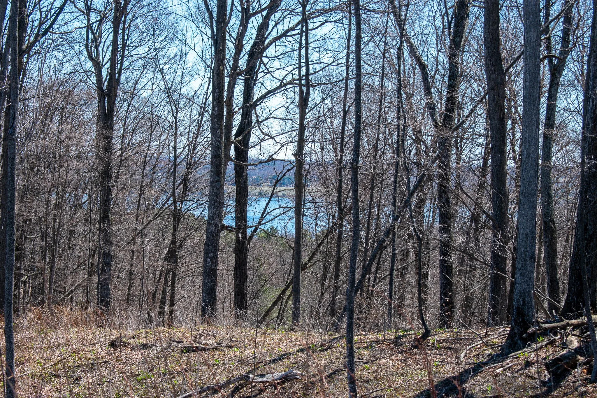 11.31 Acres – E Smiseth Road, Suttons Bay – FOR SALE by Jonathan Oltersdorf, Oltersdorf Realty (22).jpg