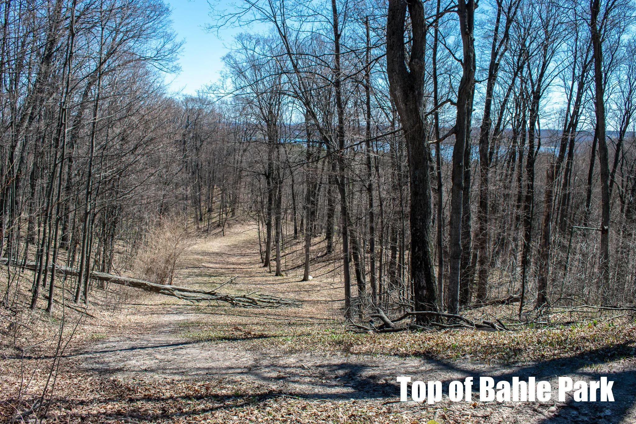 11.31 Acres – E Smiseth Road, Suttons Bay – FOR SALE by Jonathan Oltersdorf, Oltersdorf Realty (25).jpg