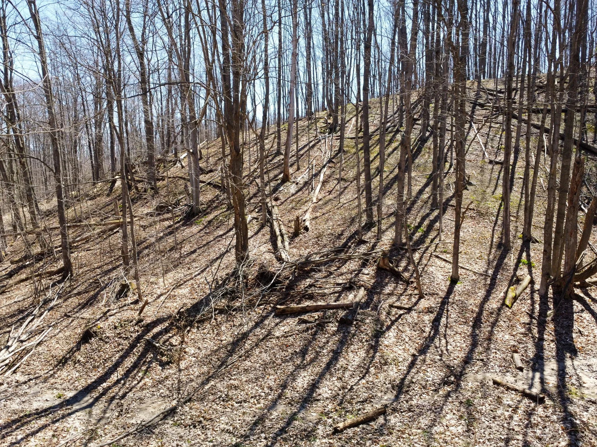 11.31 Acres – E Smiseth Road, Suttons Bay – FOR SALE by Jonathan Oltersdorf, Oltersdorf Realty (37).jpg