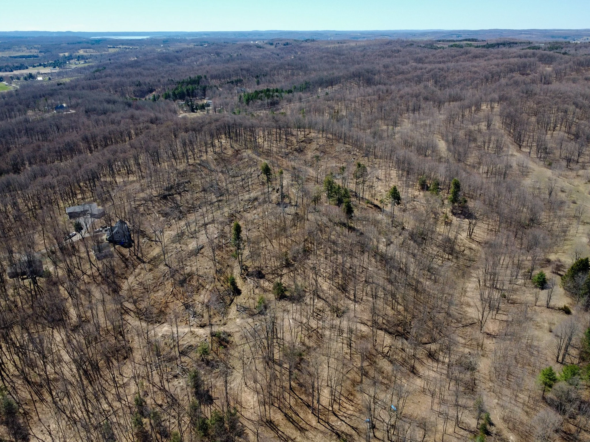11.31 Acres – E Smiseth Road, Suttons Bay – FOR SALE by Jonathan Oltersdorf, Oltersdorf Realty (64).jpg