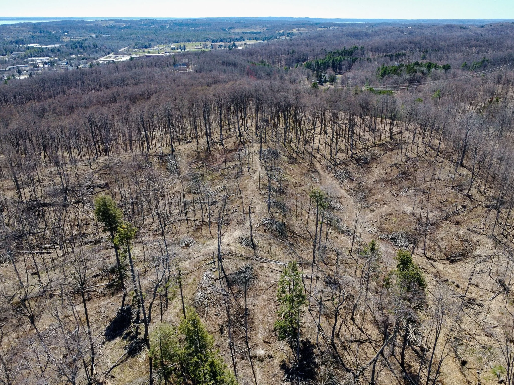 11.31 Acres – E Smiseth Road, Suttons Bay – FOR SALE by Jonathan Oltersdorf, Oltersdorf Realty (66).jpg