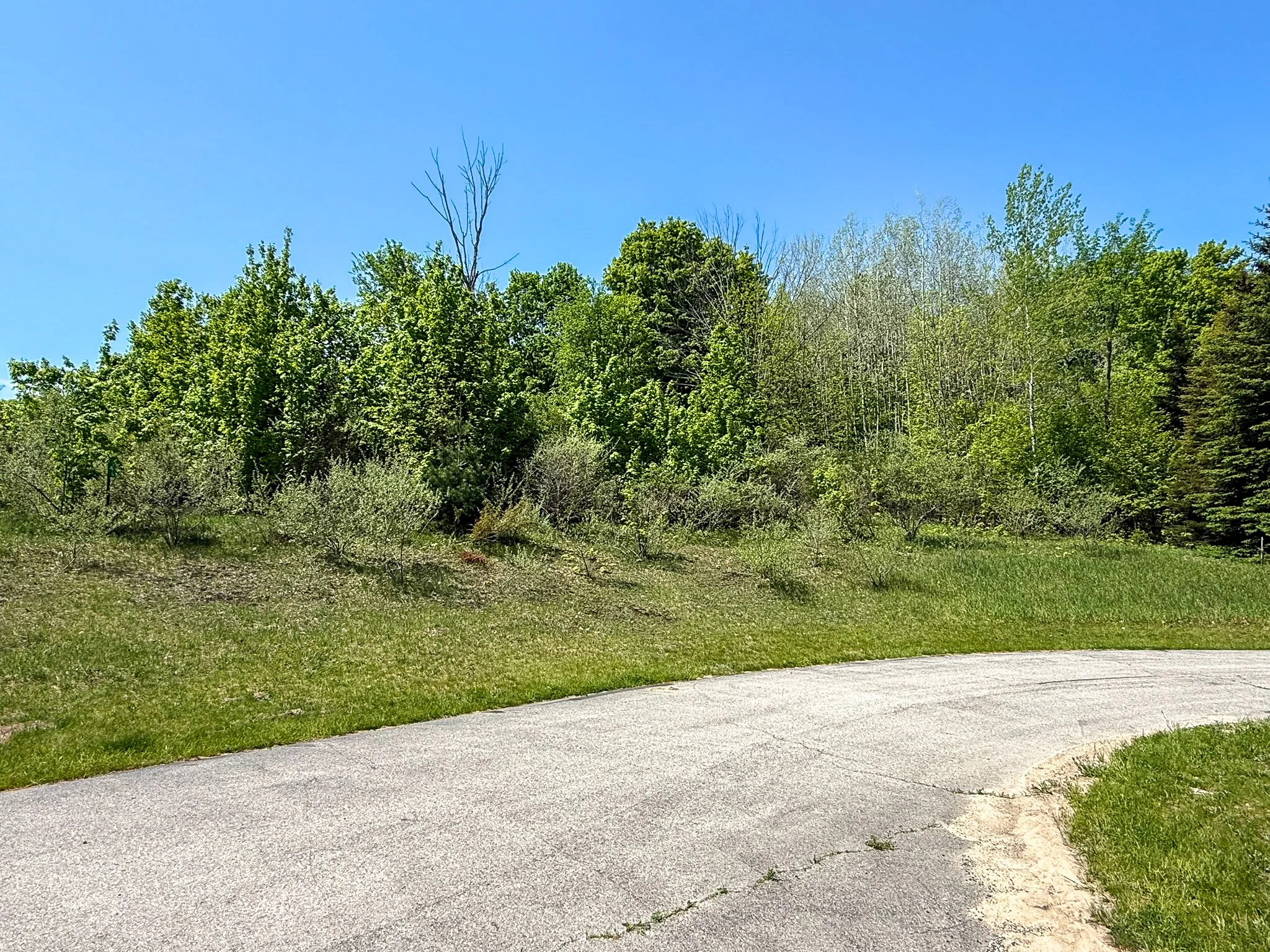 Lot 6 For Sale by Jonathan Oltersdorf, Oltersdorf Realty, Belanger Creek, Suttons Bay Vacant Land For Sale (5).jpg