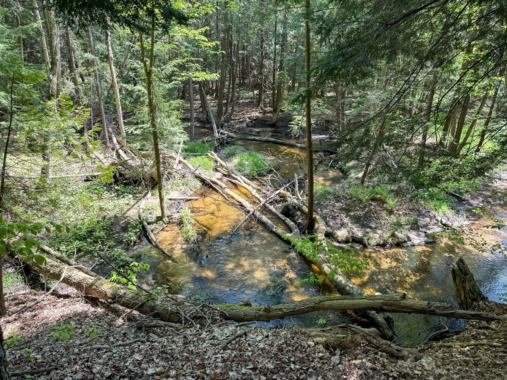 Lot 6 For Sale by Jonathan Oltersdorf, Oltersdorf Realty, Belanger Creek, Suttons Bay Vacant Land For Sale (9).jpg