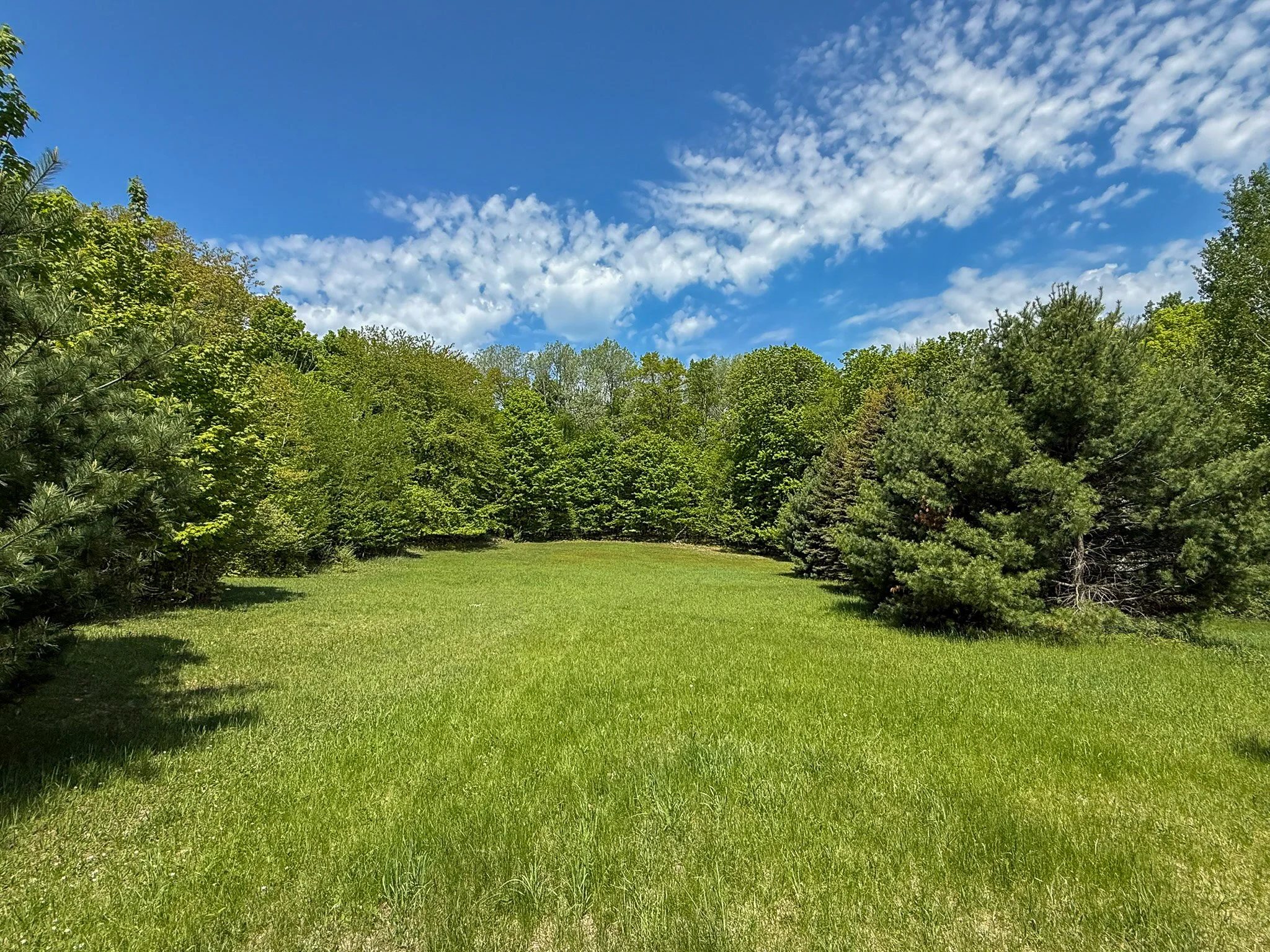 Lot 7 For Sale by Jonathan Oltersdorf, Oltersdorf Realty, Belanger Creek, Suttons Bay Vacant Land For Sale (12).jpg