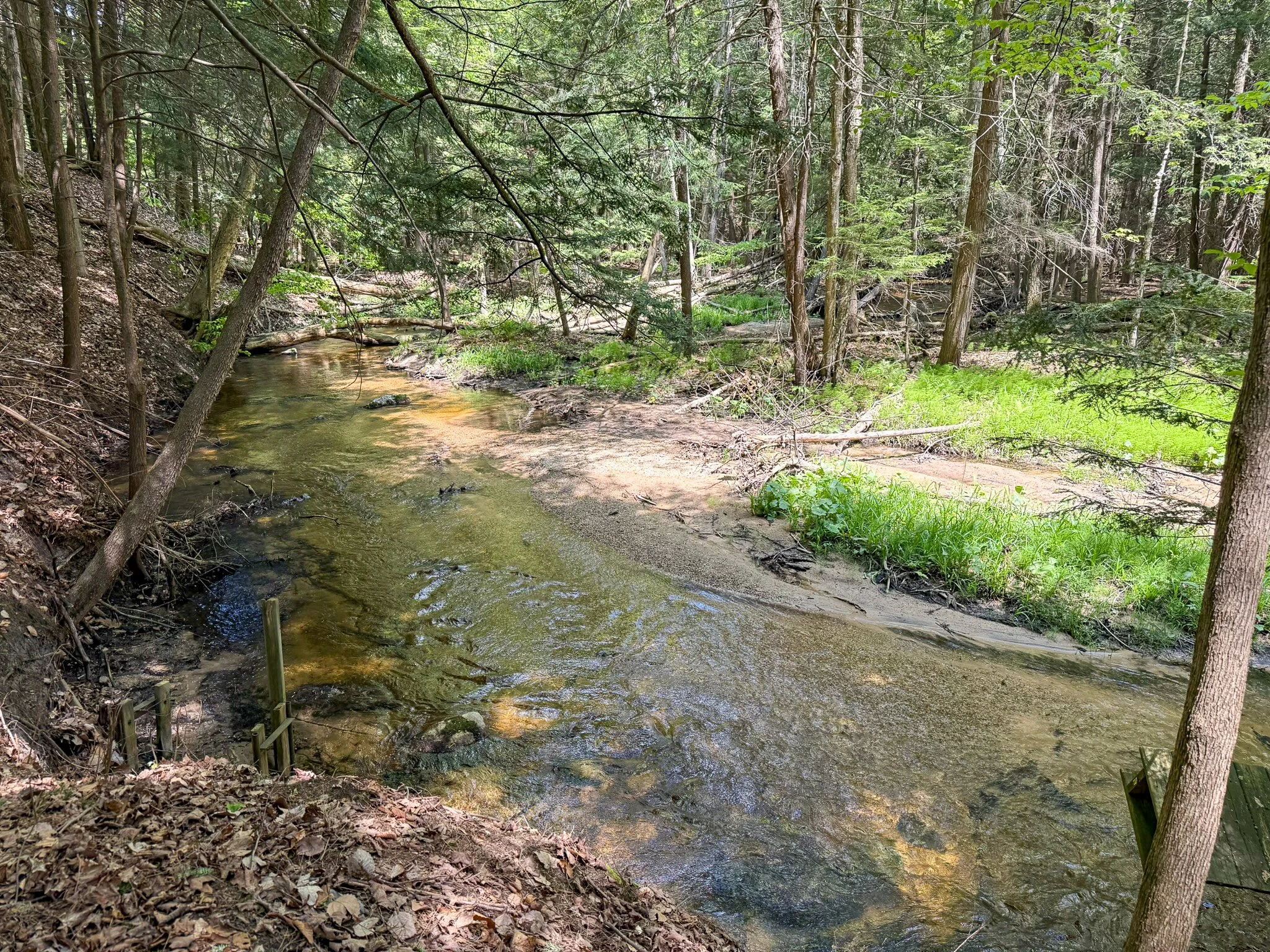 Lot 8 For Sale by Jonathan Oltersdorf, Oltersdorf Realty, Belanger Creek, Suttons Bay Vacant Land For Sale (10).jpg