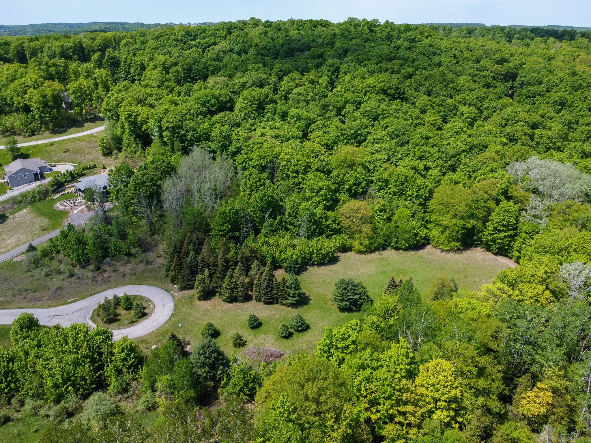 Lot 8 For Sale by Jonathan Oltersdorf, Oltersdorf Realty, Belanger Creek, Suttons Bay Vacant Land For Sale (18).jpg