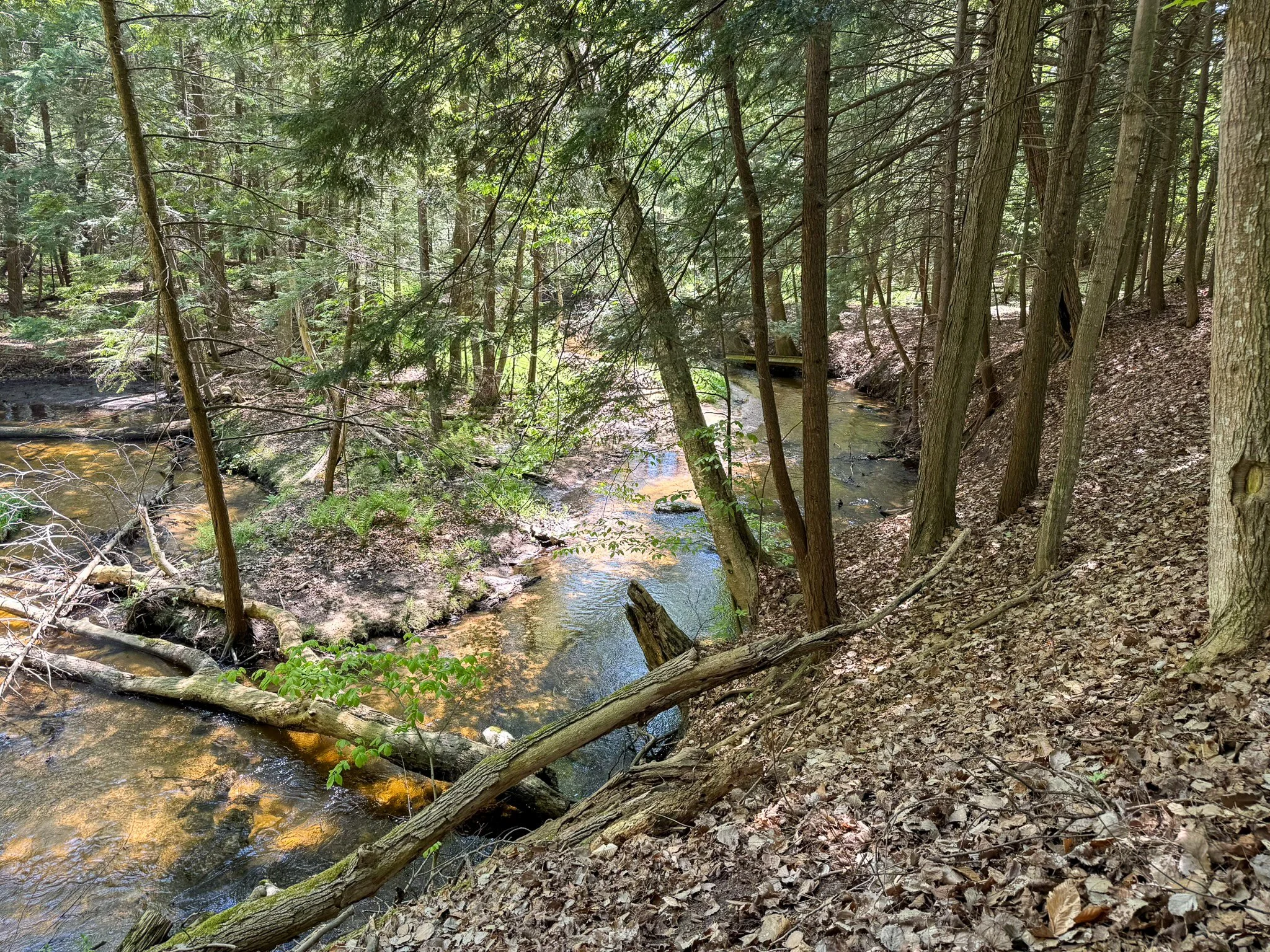 Lot 8 For Sale by Jonathan Oltersdorf, Oltersdorf Realty, Belanger Creek, Suttons Bay Vacant Land For Sale (27).jpg