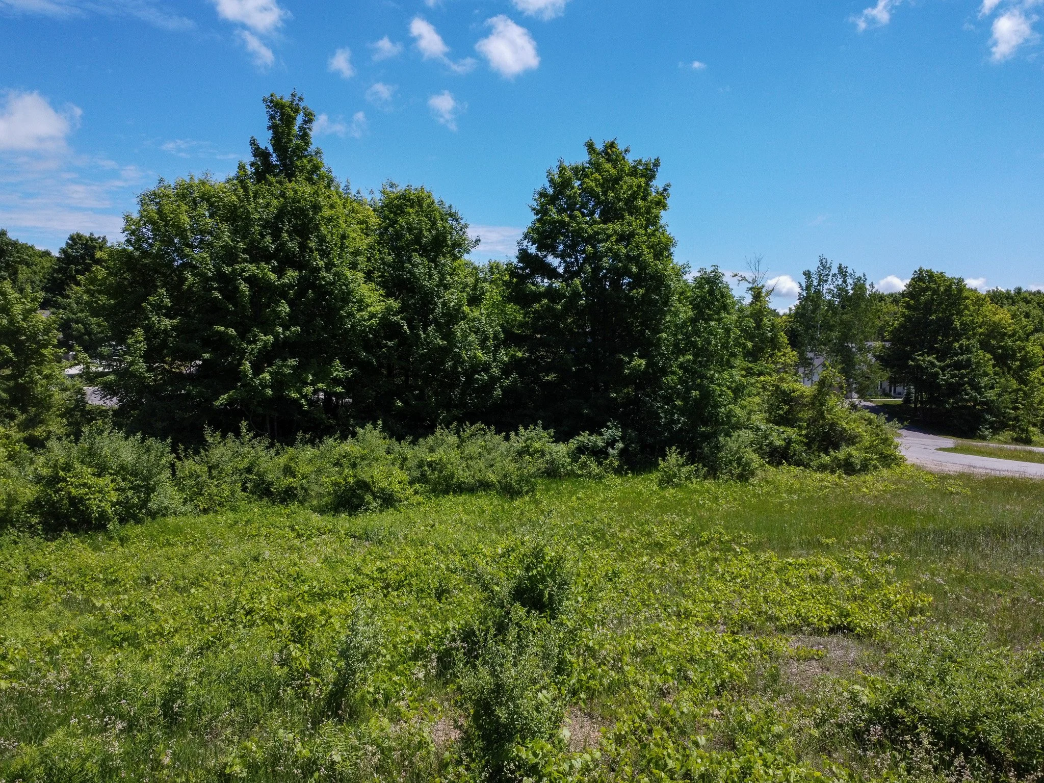 Lot 19 – S Cherry Blossom Lane, Suttons Bay - FOR SALE by Jonathan Oltersdorf (10).jpg