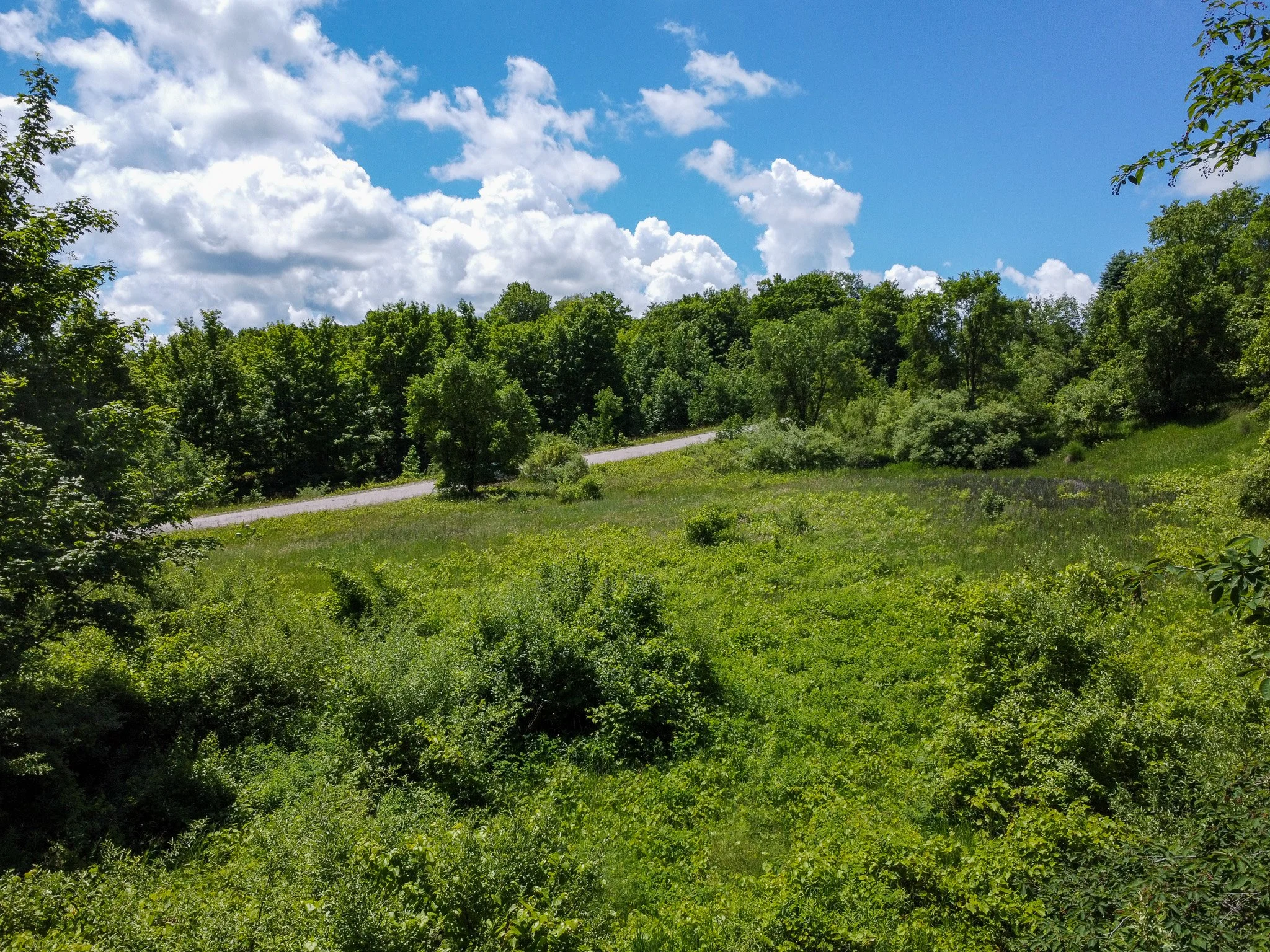 Lot 19 – S Cherry Blossom Lane, Suttons Bay - FOR SALE by Jonathan Oltersdorf (12).jpg