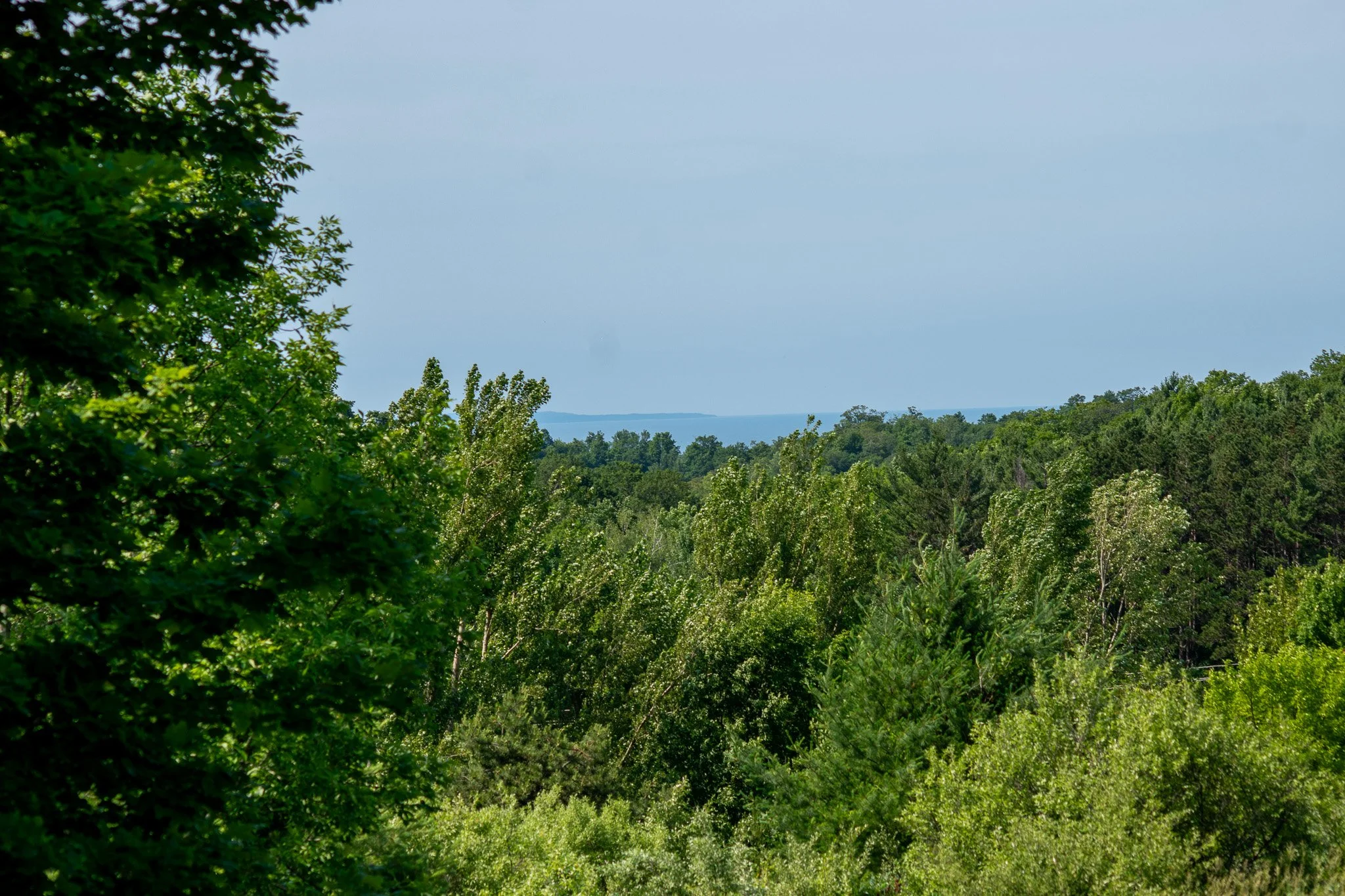 9742 E Peterson Road, Northport – FOR SALE by Jonathan Oltersdorf, Oltersdorf Realty LLC (28).jpg