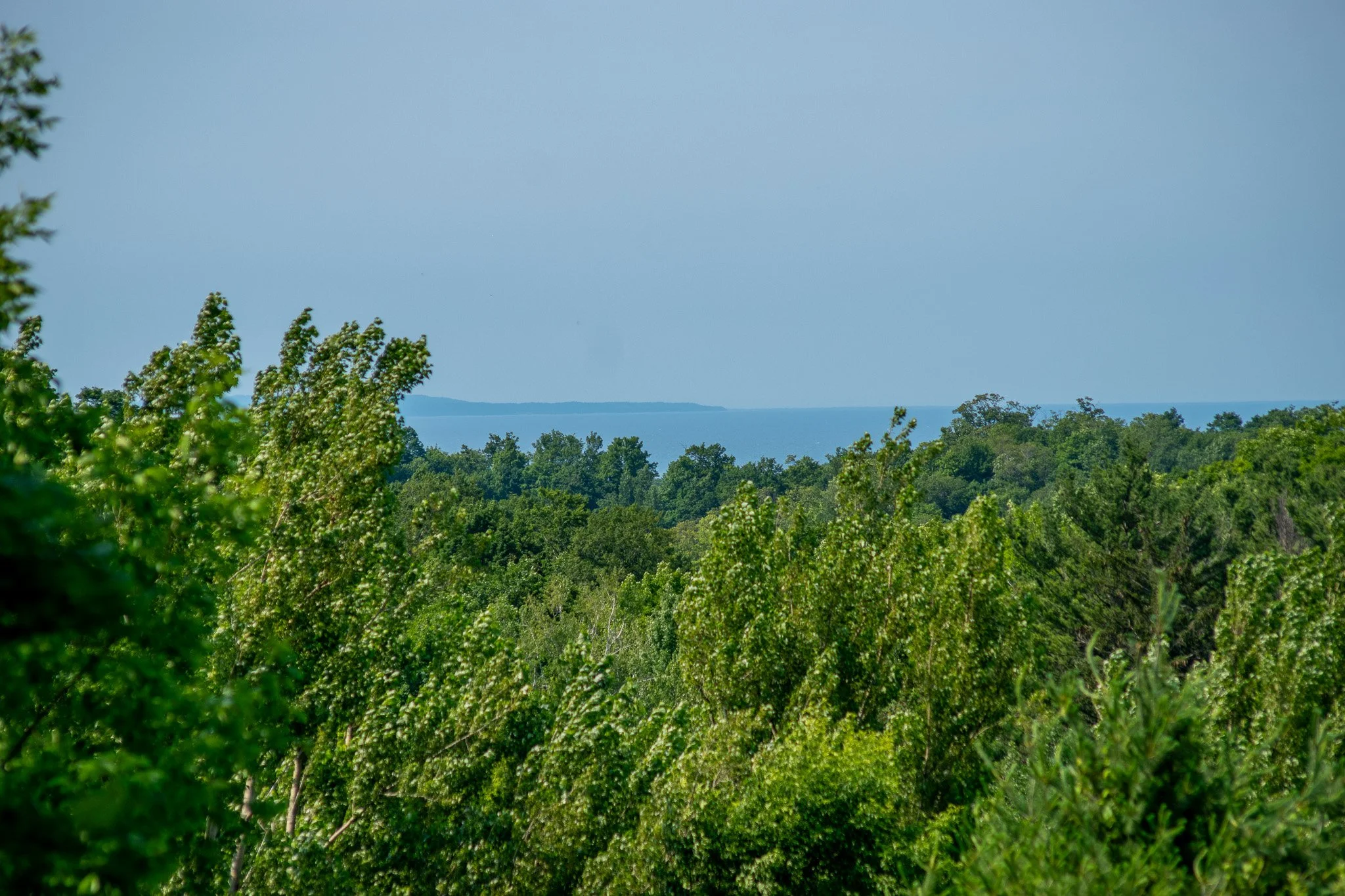 9742 E Peterson Road, Northport – FOR SALE by Jonathan Oltersdorf, Oltersdorf Realty LLC (29).jpg