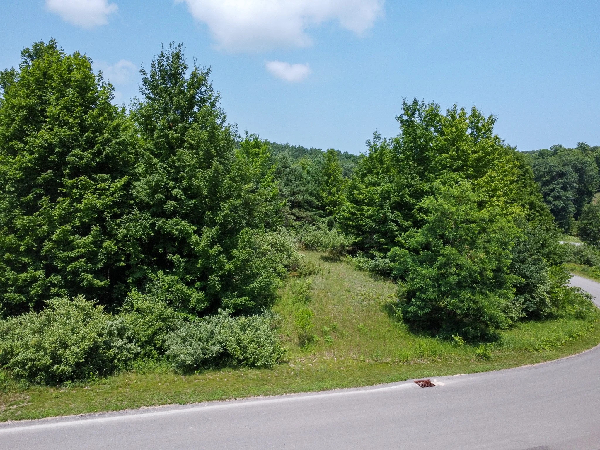 Lot 61 S Skye Hill Drive, Traverse City, MI – 0.89 Acre Building Site in Leelanau Highlands - For Sale by Jonathan Oltersdorf, Oltersdorf Realty (1).jpg