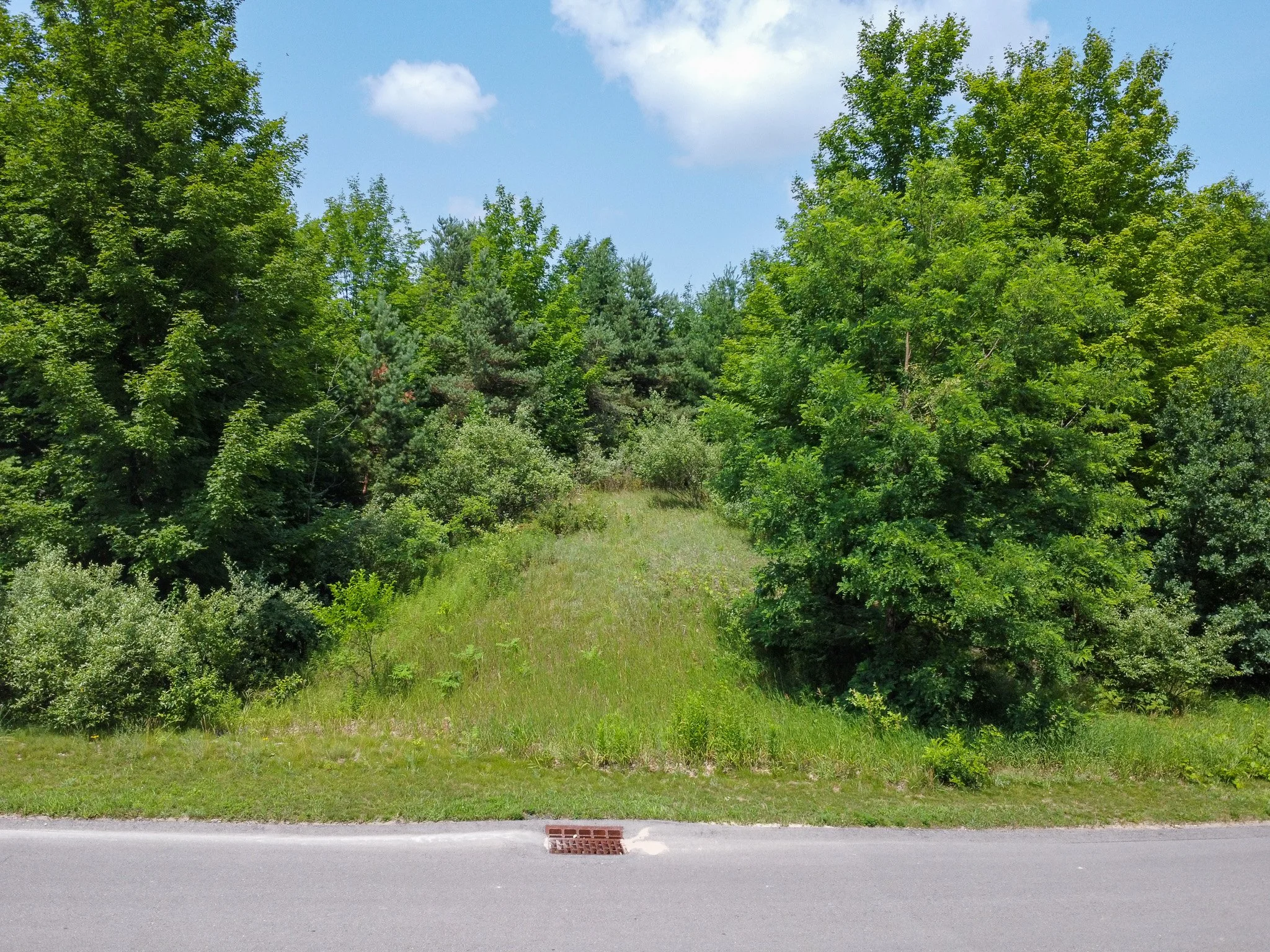 Lot 61 S Skye Hill Drive, Traverse City, MI – 0.89 Acre Building Site in Leelanau Highlands - For Sale by Jonathan Oltersdorf, Oltersdorf Realty (7).jpg