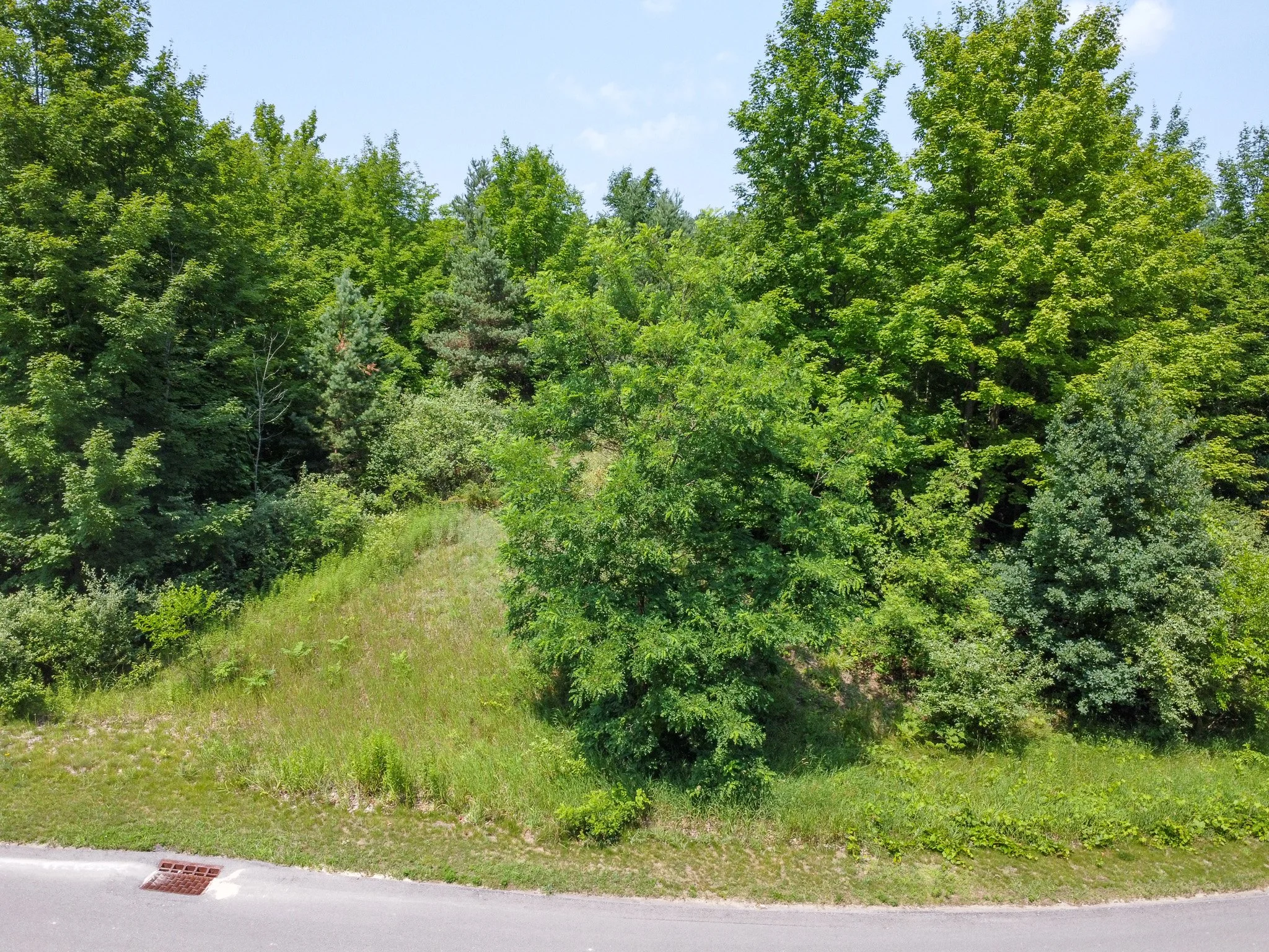 Lot 61 S Skye Hill Drive, Traverse City, MI – 0.89 Acre Building Site in Leelanau Highlands - For Sale by Jonathan Oltersdorf, Oltersdorf Realty (8).jpg