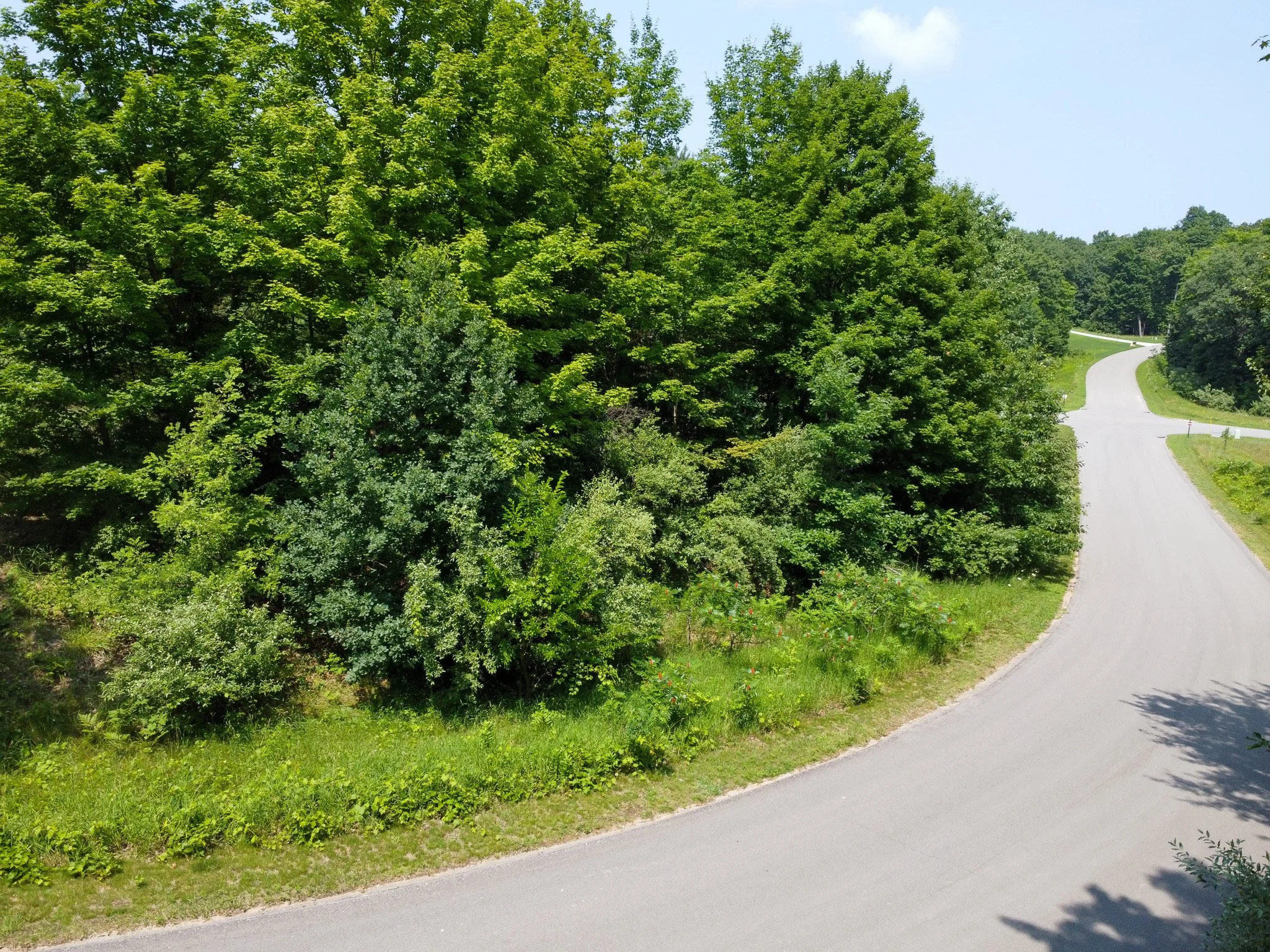 Lot 61 S Skye Hill Drive, Traverse City, MI – 0.89 Acre Building Site in Leelanau Highlands - For Sale by Jonathan Oltersdorf, Oltersdorf Realty (9).jpg