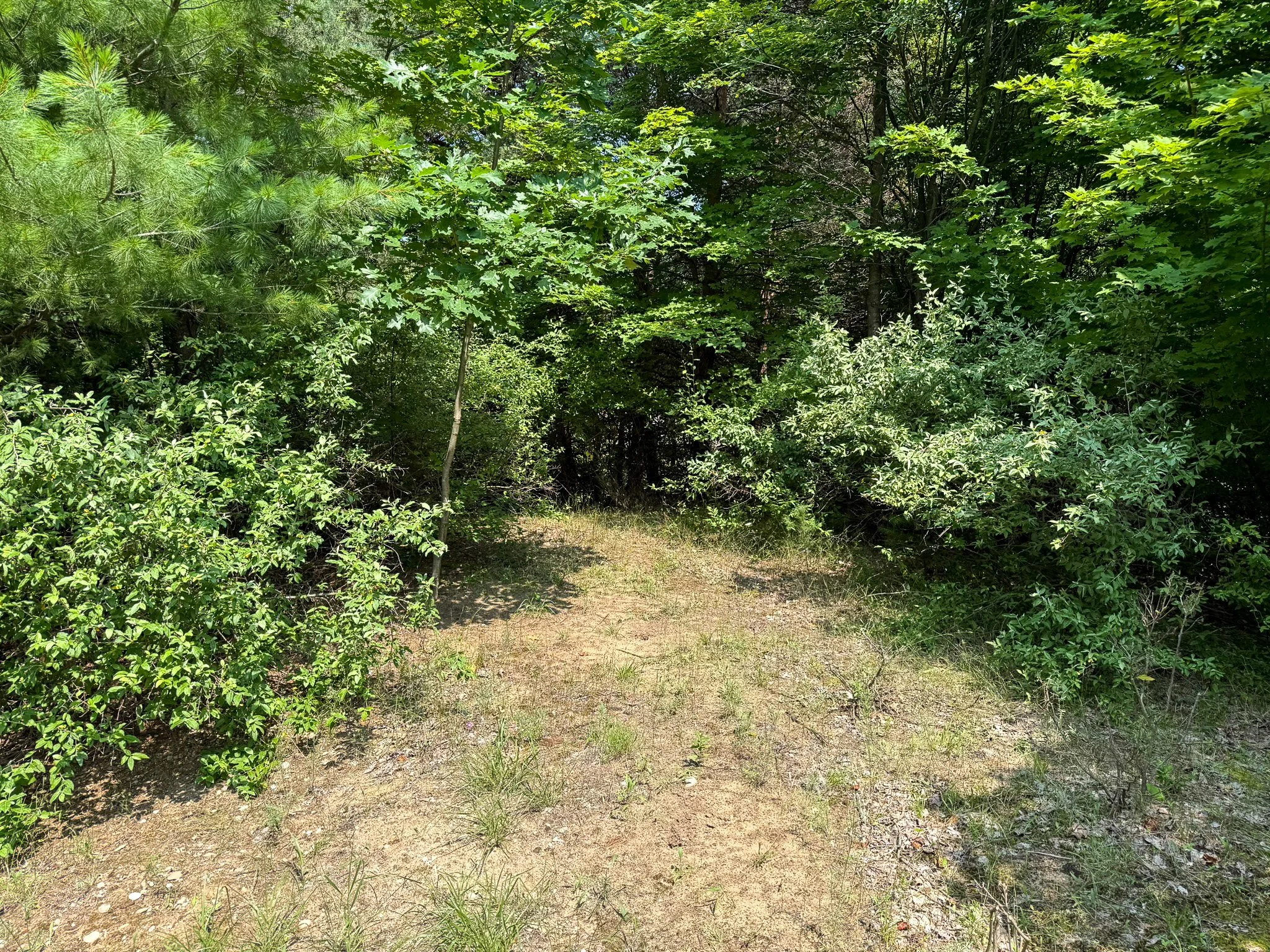 Lot 61 S Skye Hill Drive, Traverse City, MI – 0.89 Acre Building Site in Leelanau Highlands - For Sale by Jonathan Oltersdorf, Oltersdorf Realty (26).jpg