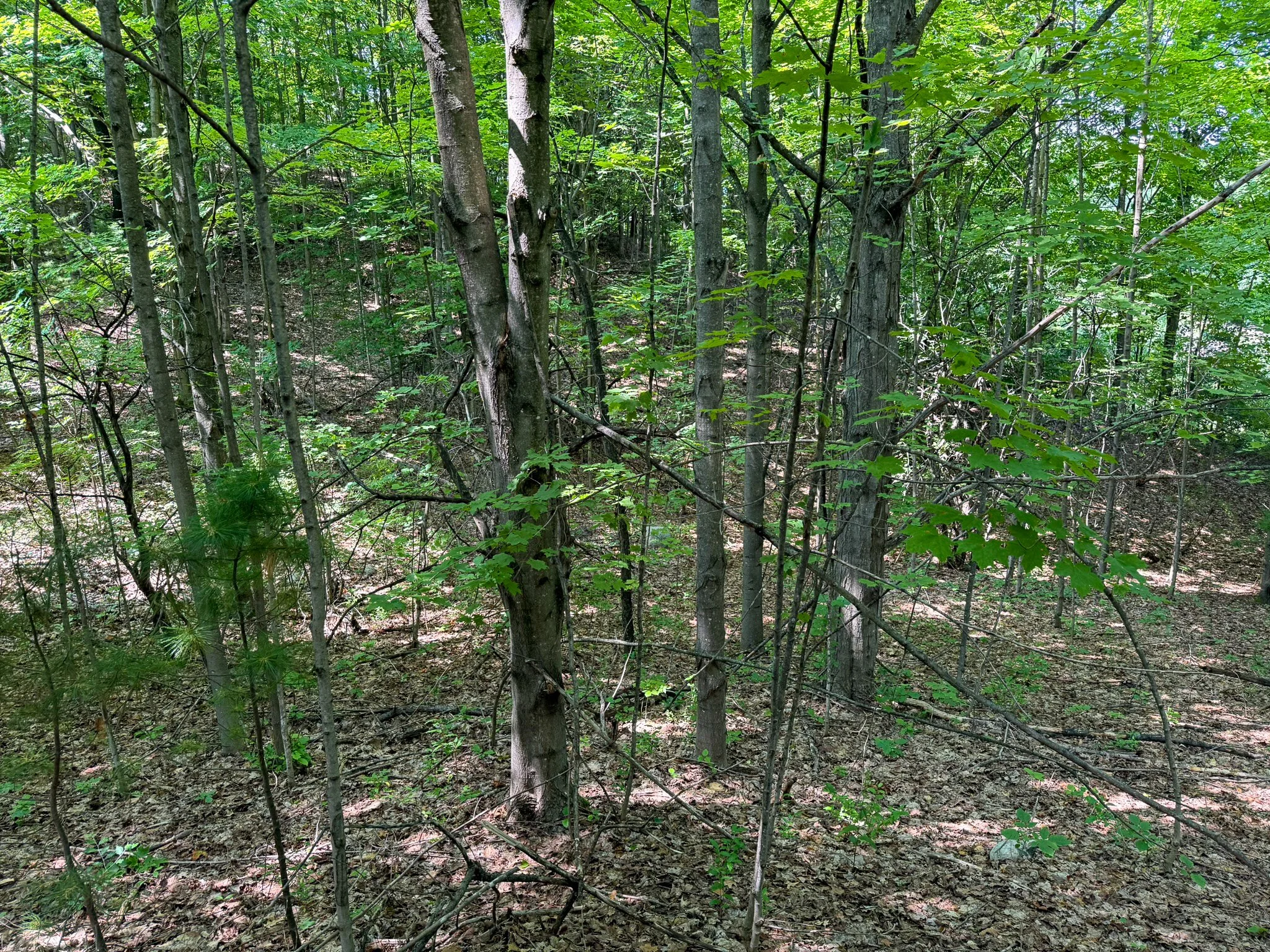 Lot 61 S Skye Hill Drive, Traverse City, MI – 0.89 Acre Building Site in Leelanau Highlands - For Sale by Jonathan Oltersdorf, Oltersdorf Realty (28).jpg