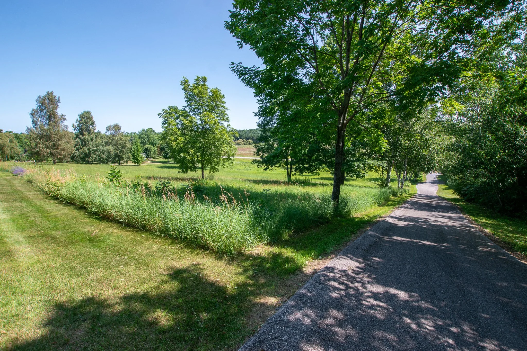 6350 E Horn Road, Lake Leelanau – FOR SALE by Jonathan Oltersdorf, Oltersdorf Realty (64).jpg