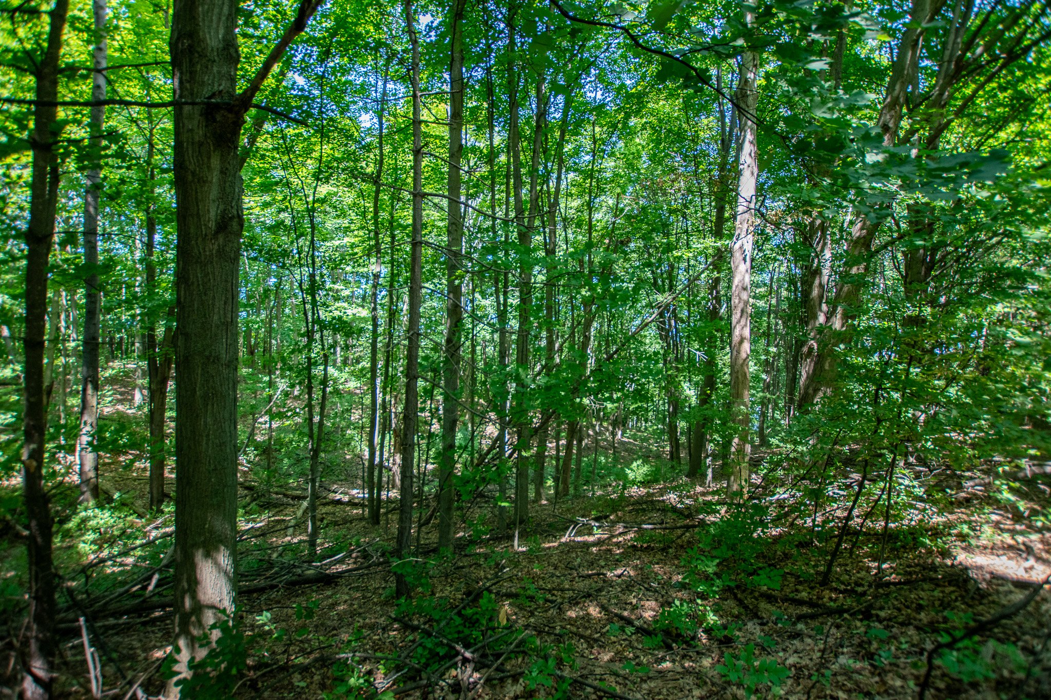 6350 E Horn Road, Lake Leelanau – FOR SALE by Jonathan Oltersdorf, Oltersdorf Realty (70).jpg
