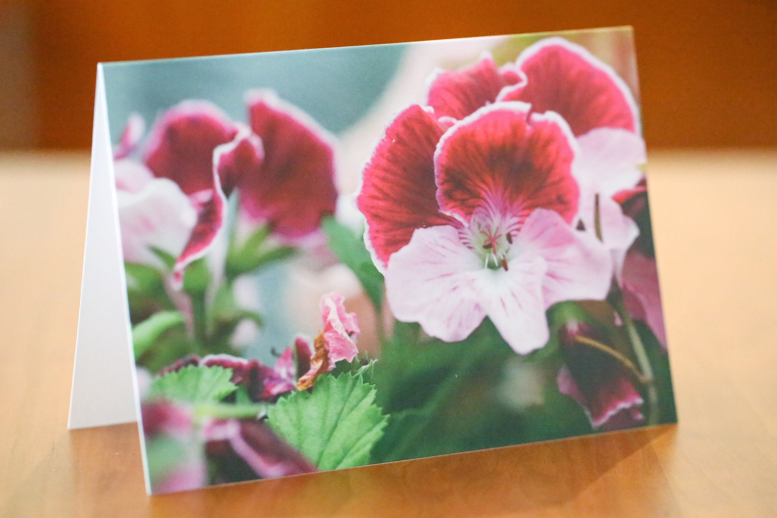 Pink Geraniums-Card Alone.jpg