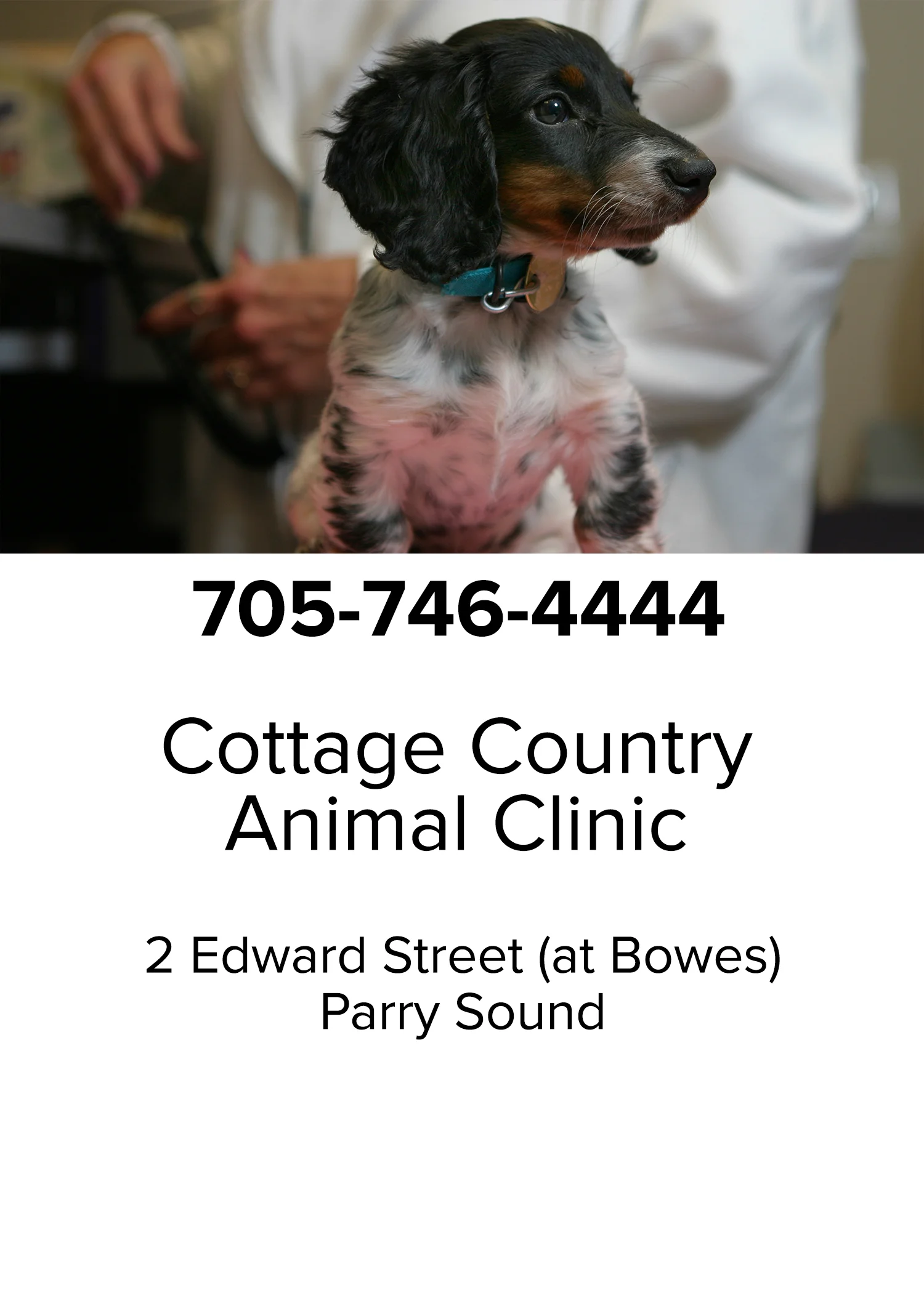 Cottage Country Animal Clinic
