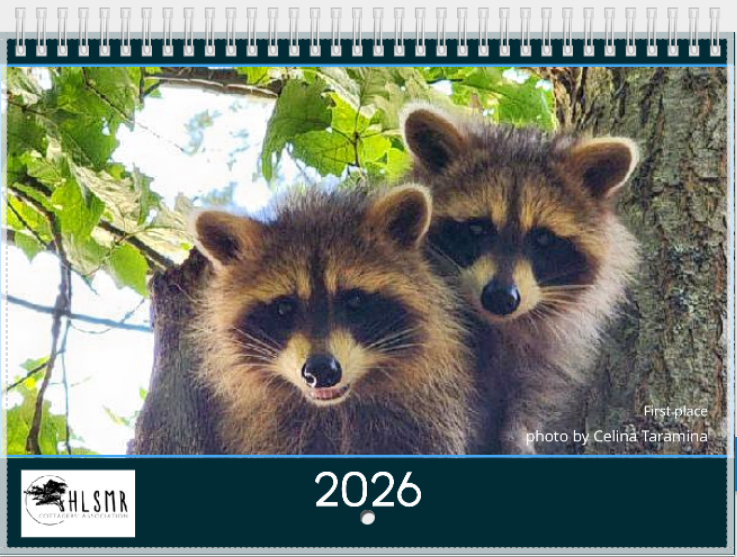 2026calendarpromo1.png