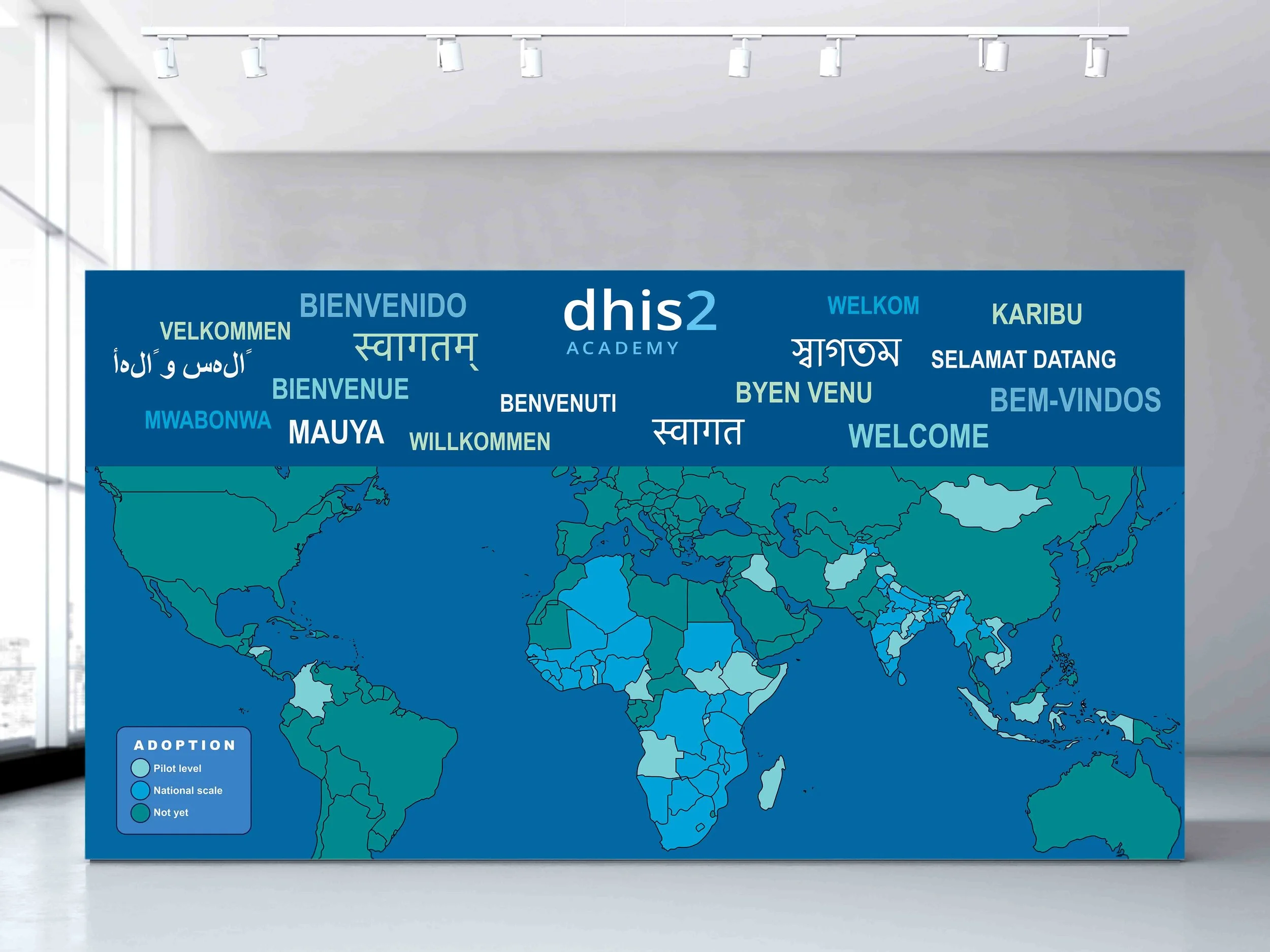 dhis2 big banner mounted.jpg
