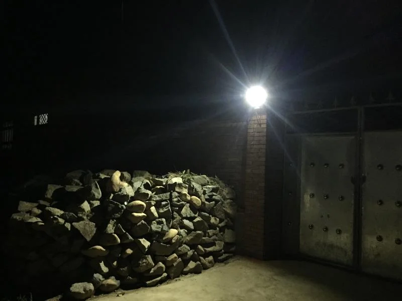 solar lamp in yard
