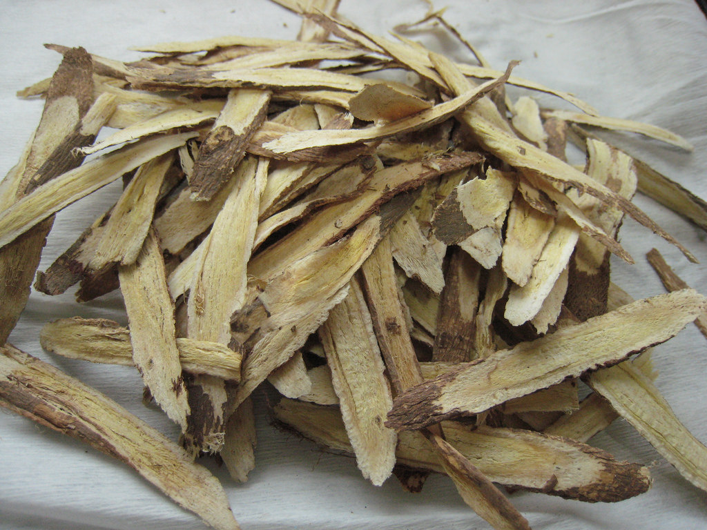 astragalus.jpg
