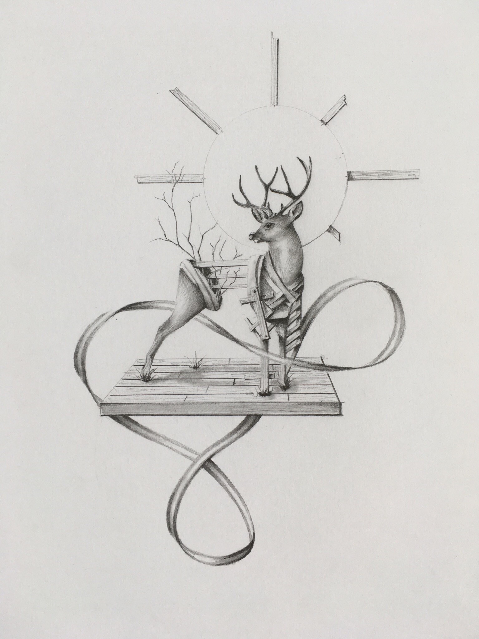   Stag  Graphite on Bristol 2018 