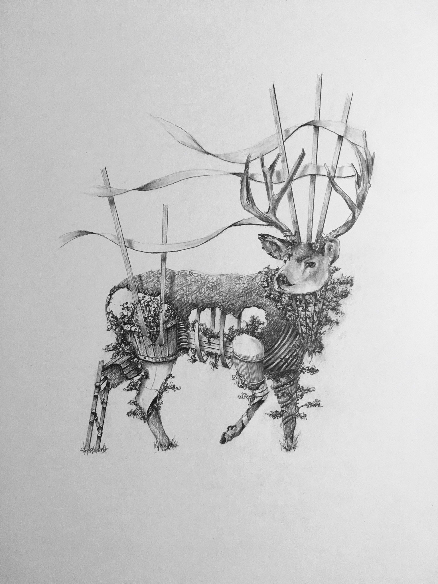   Bramble Breasted Deer  Graphite on Bristol 2020 