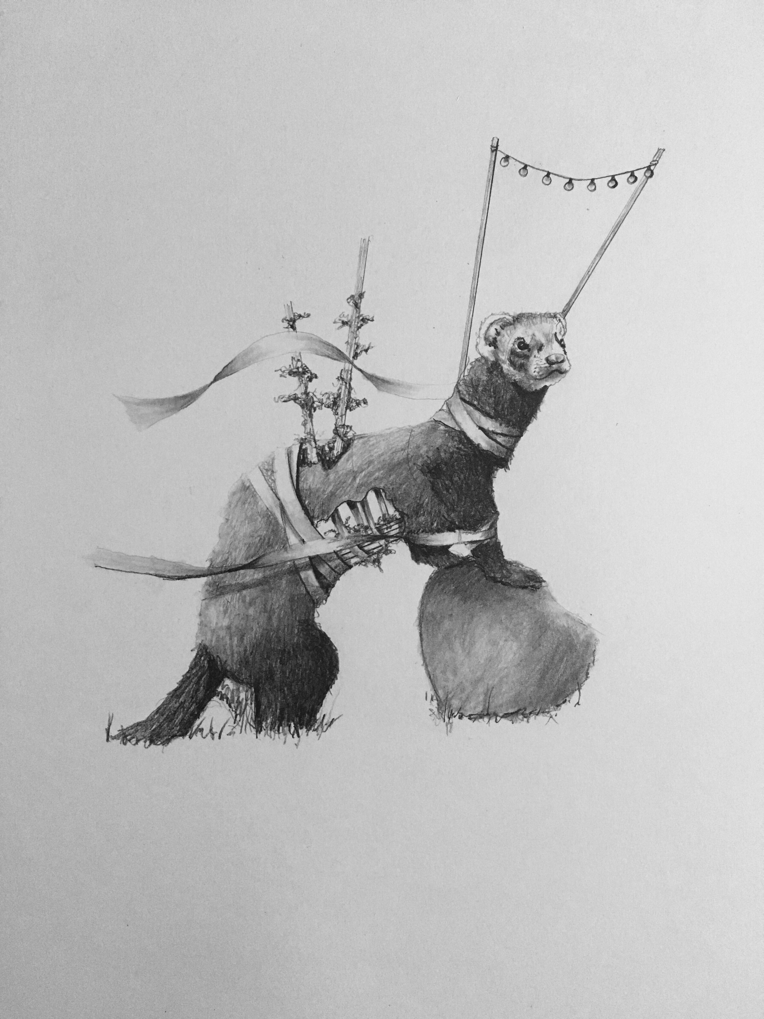   Ferret   Graphite on Bristol 2020 