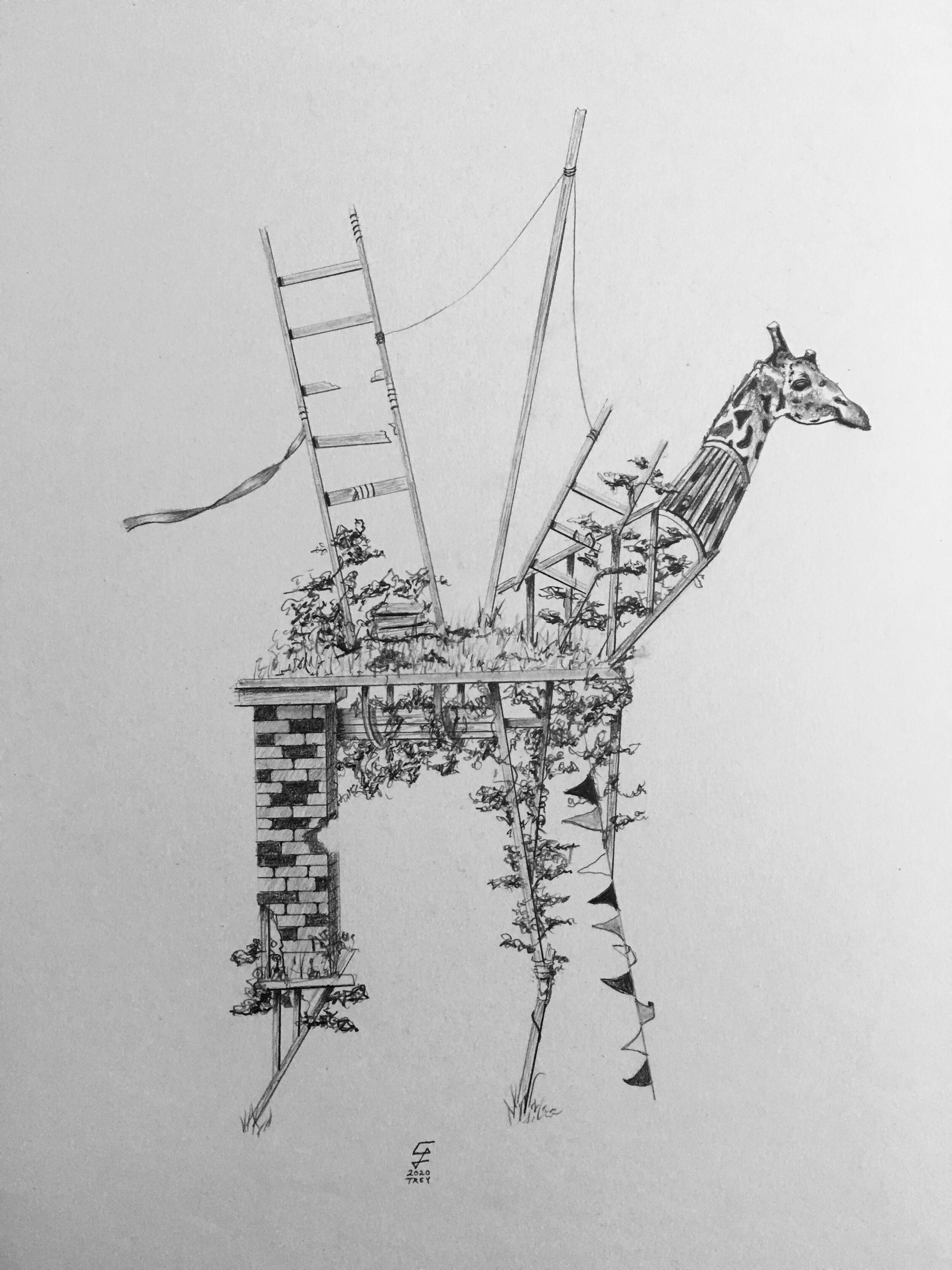   Giraffe   Graphite on Bristol 2020 