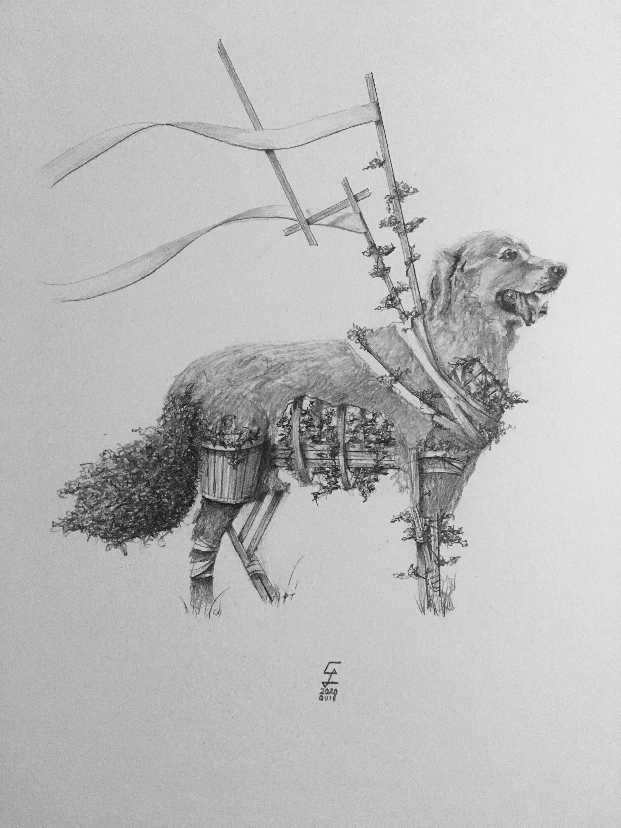   A Good Boy    Graphite on Bristol 2020 