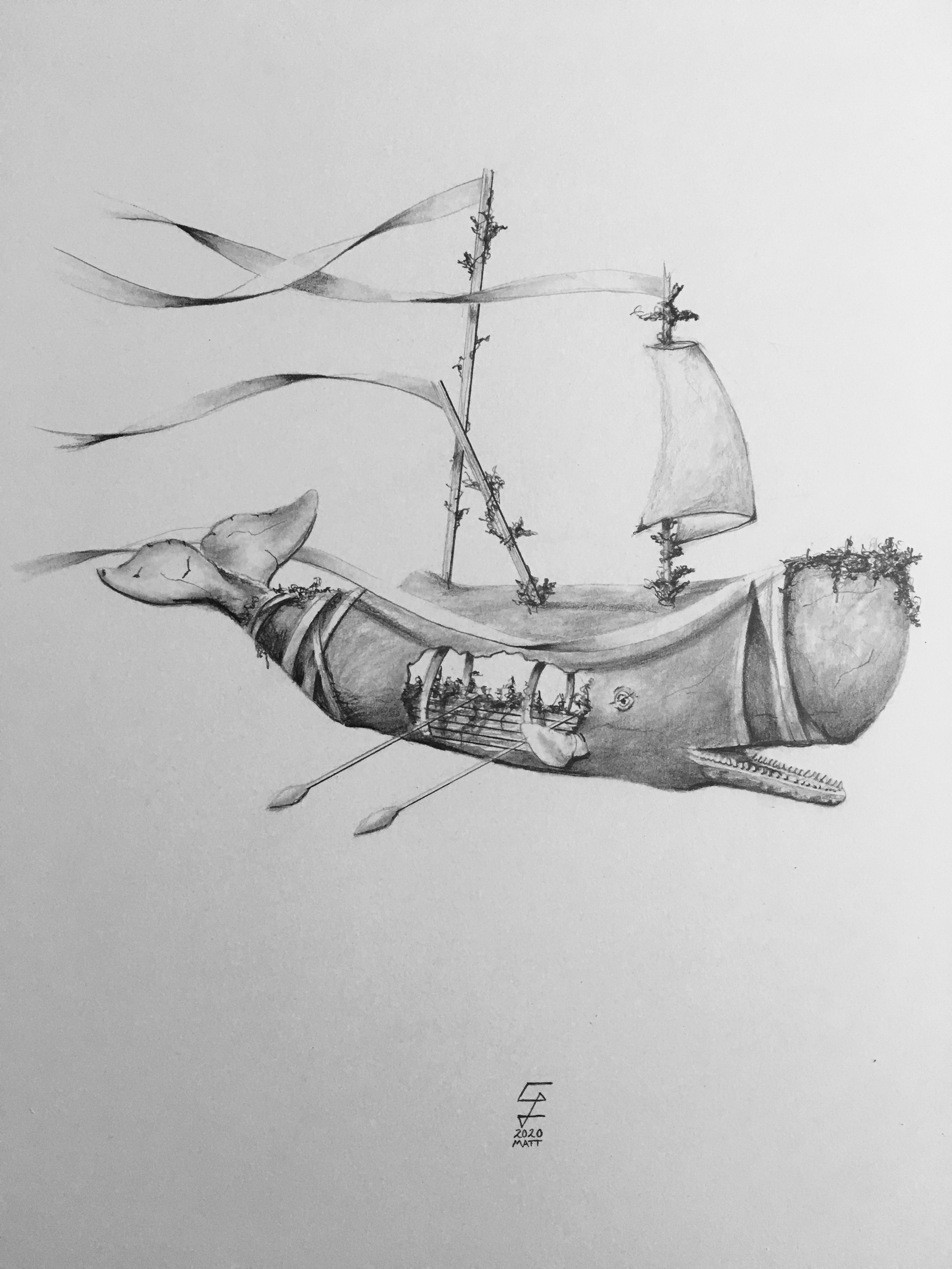   Whale  Graphite on Bristol  2020 