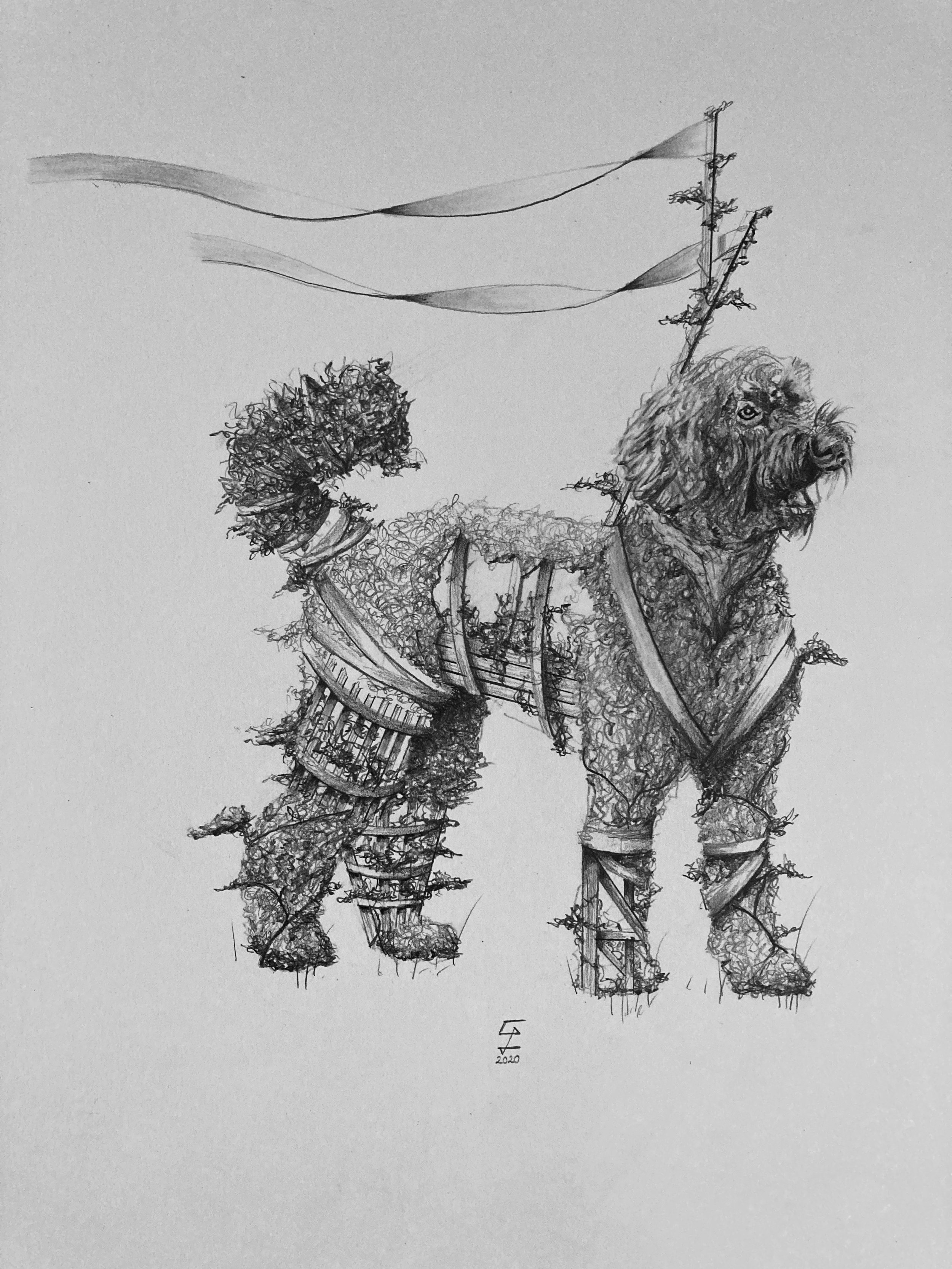   Fluff  Graphite on Bristol 2021 