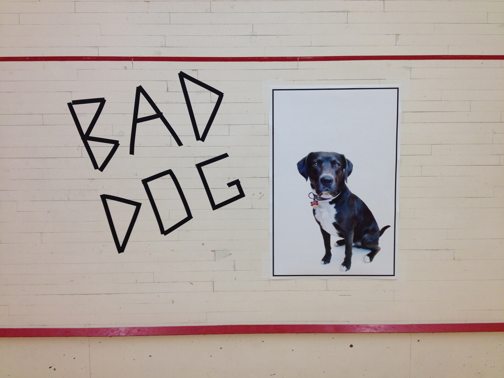 Squash2014_BadDog.jpg