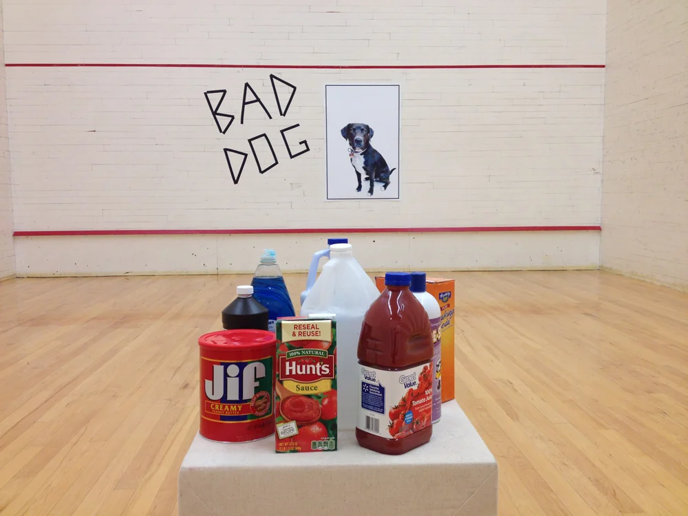 Squash2014_BadDog3.jpg