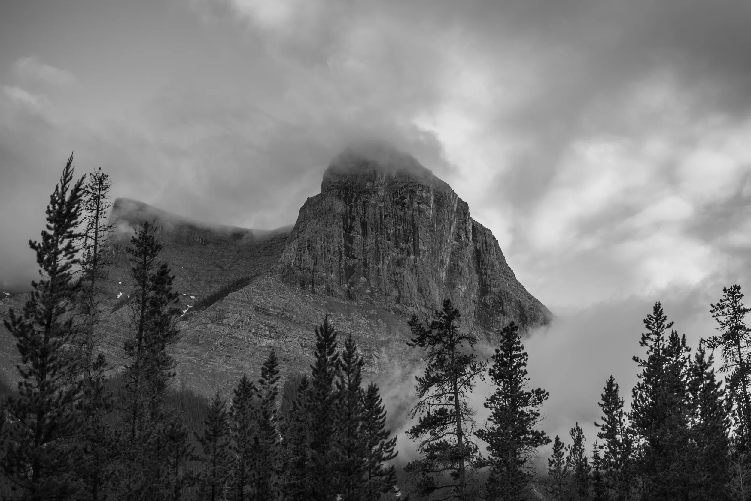 DSC08227.jpg